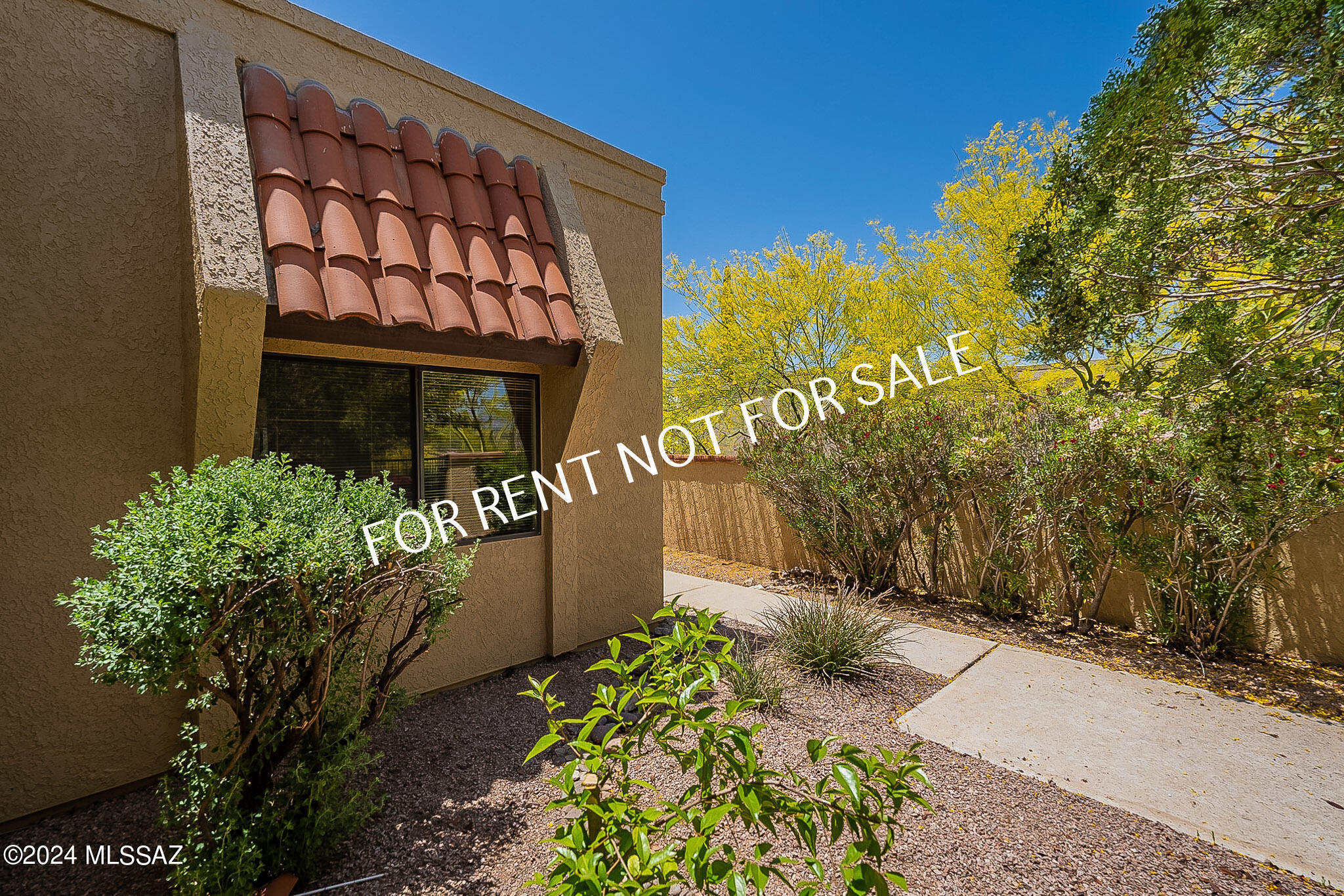 El Conquistador Resort Patio Homes (96-154) - Residential Lease