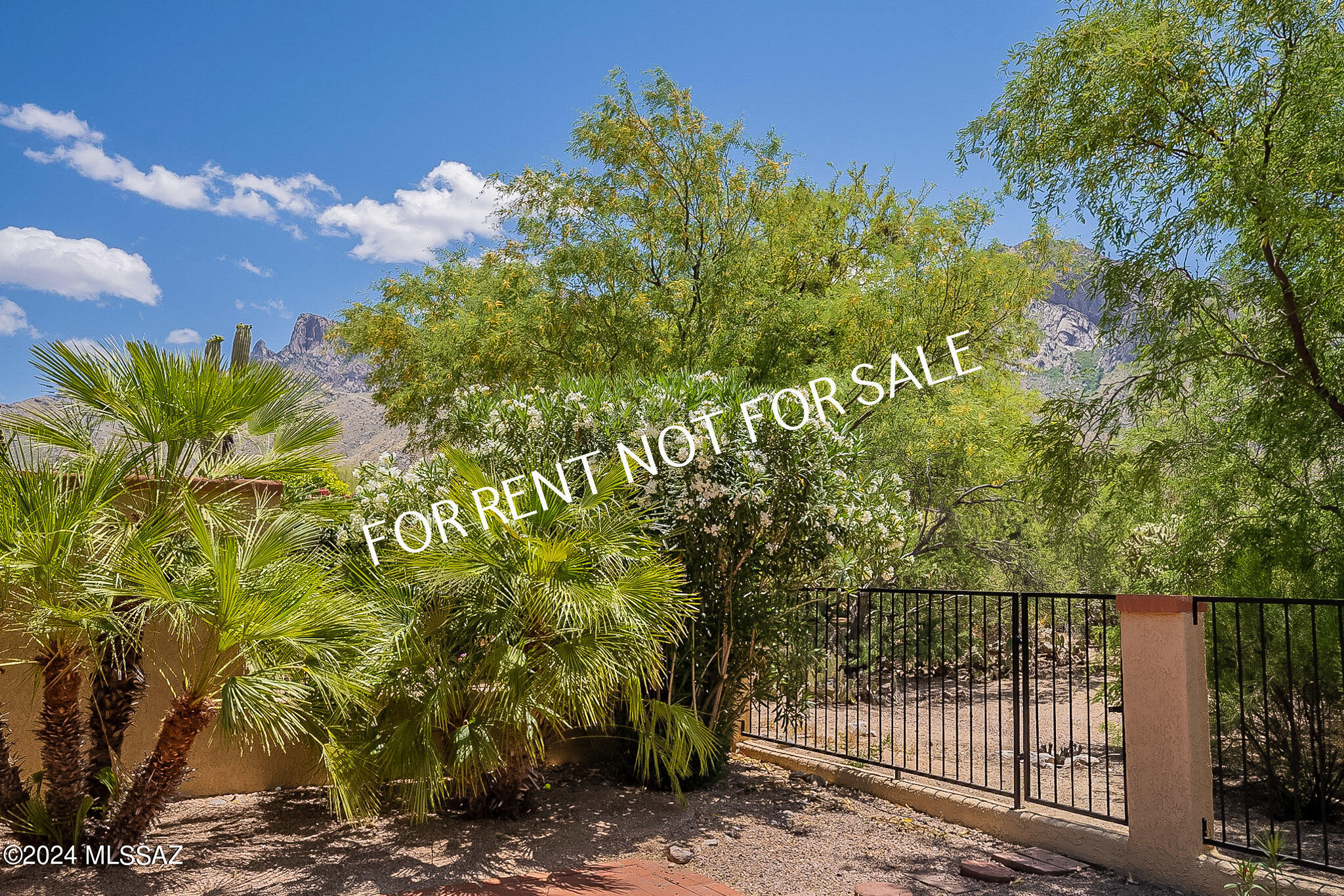 El Conquistador Resort Patio Homes (96-154) - Residential Lease