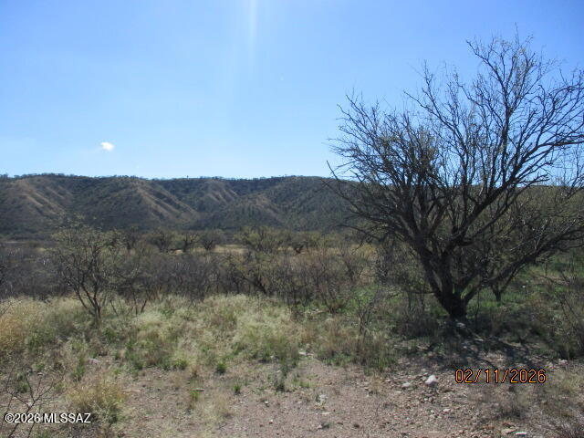 Rio Rico Estates - Land