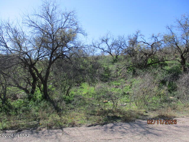 Rio Rico Estates - Land