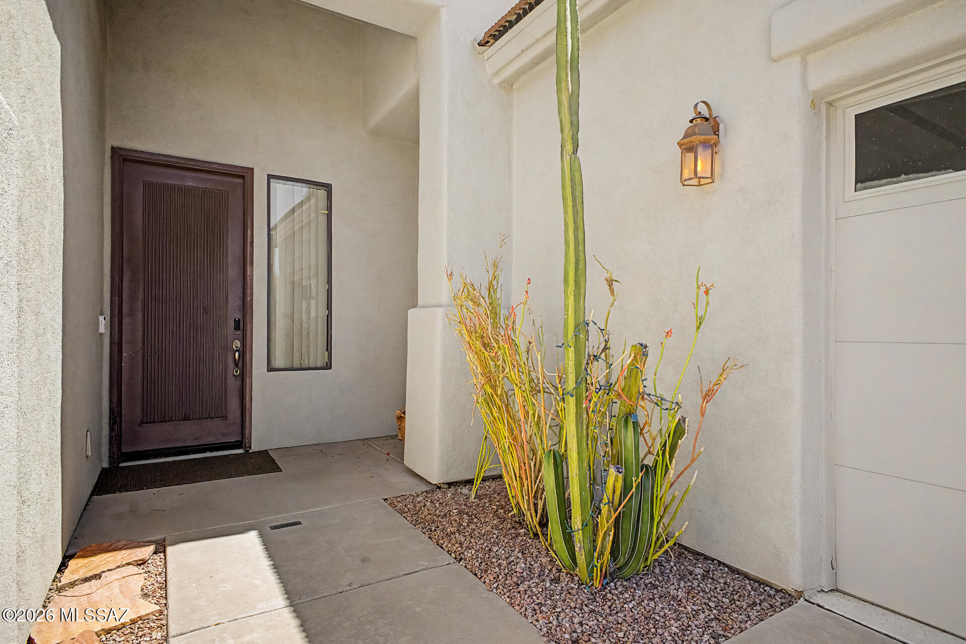 4698 W Cholla Bluff Drive