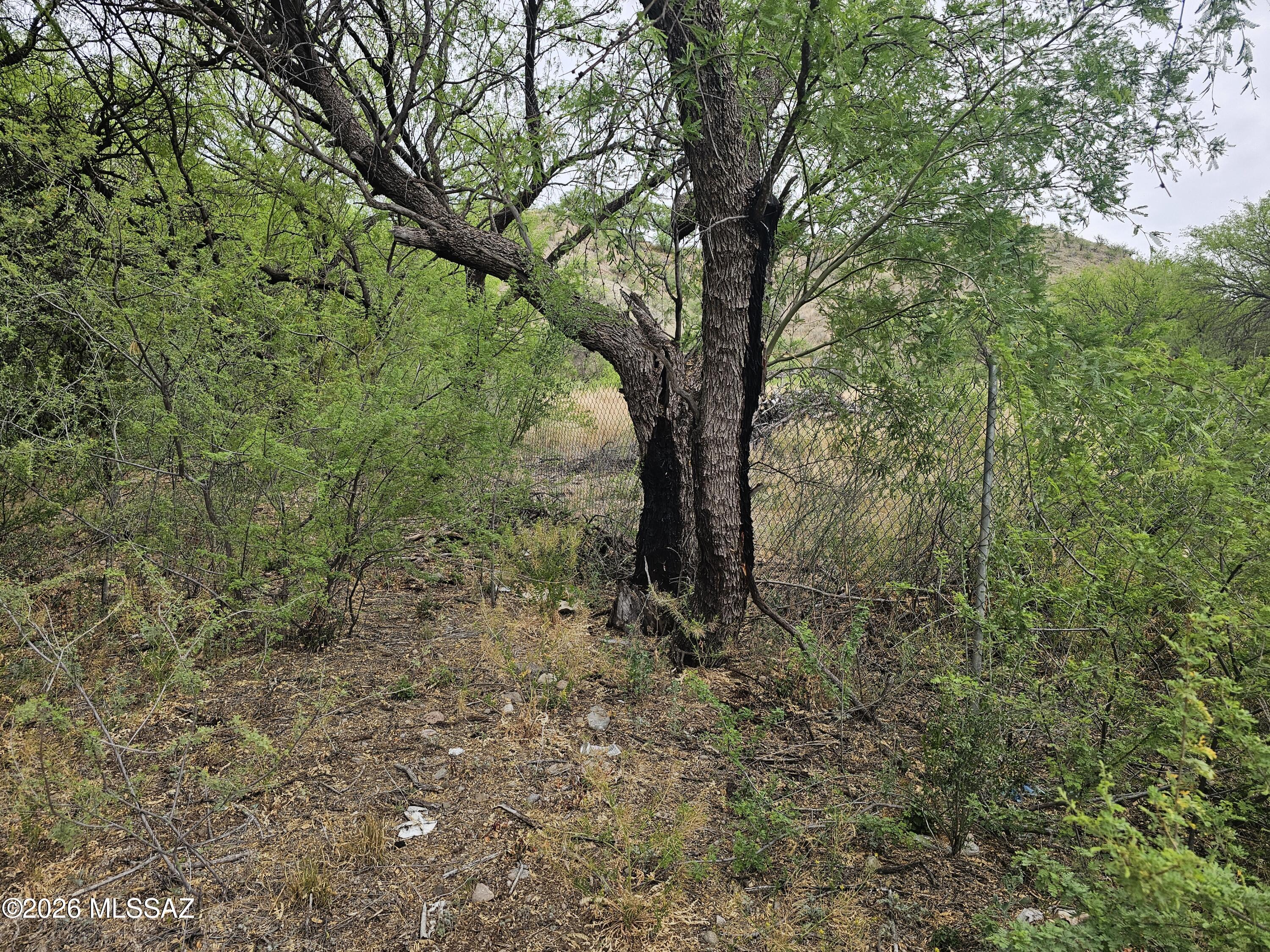 Rio Rico Ranchettes 3 - Land