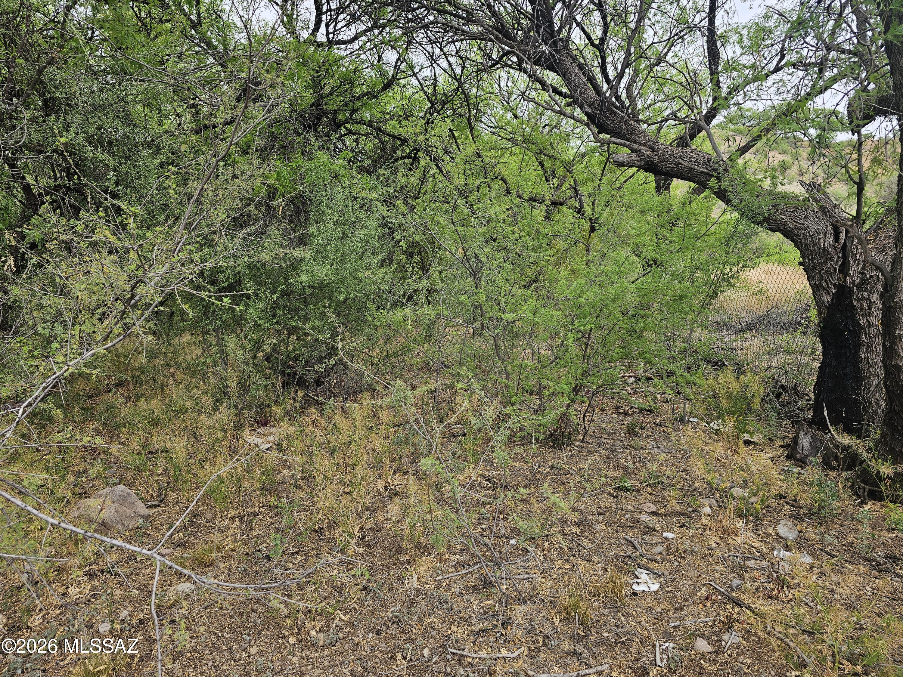 Rio Rico Ranchettes 3 - Land