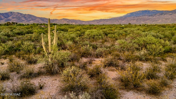 1242 N FREEMAN RD # 5, TUCSON, AZ 85749 - Image e73d4fe87bacece4536acecbb5f9cdc4/2577776082