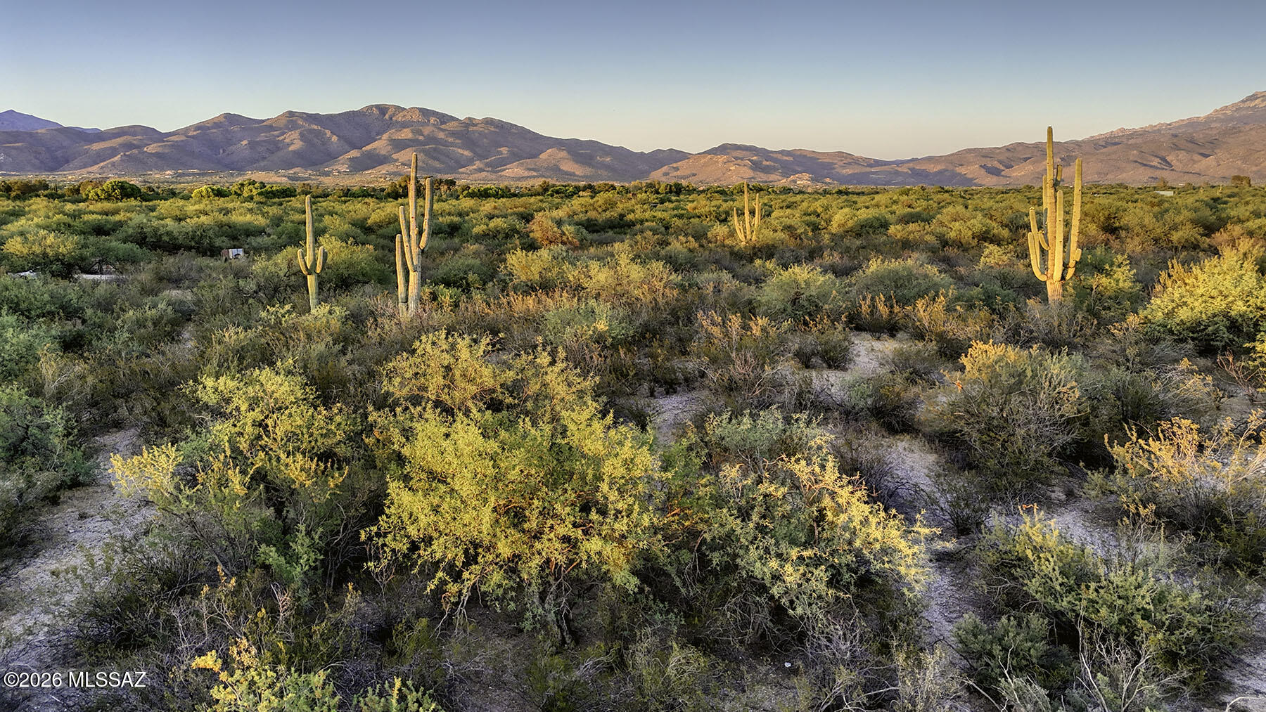 1242 N Freeman Road 5 Acre