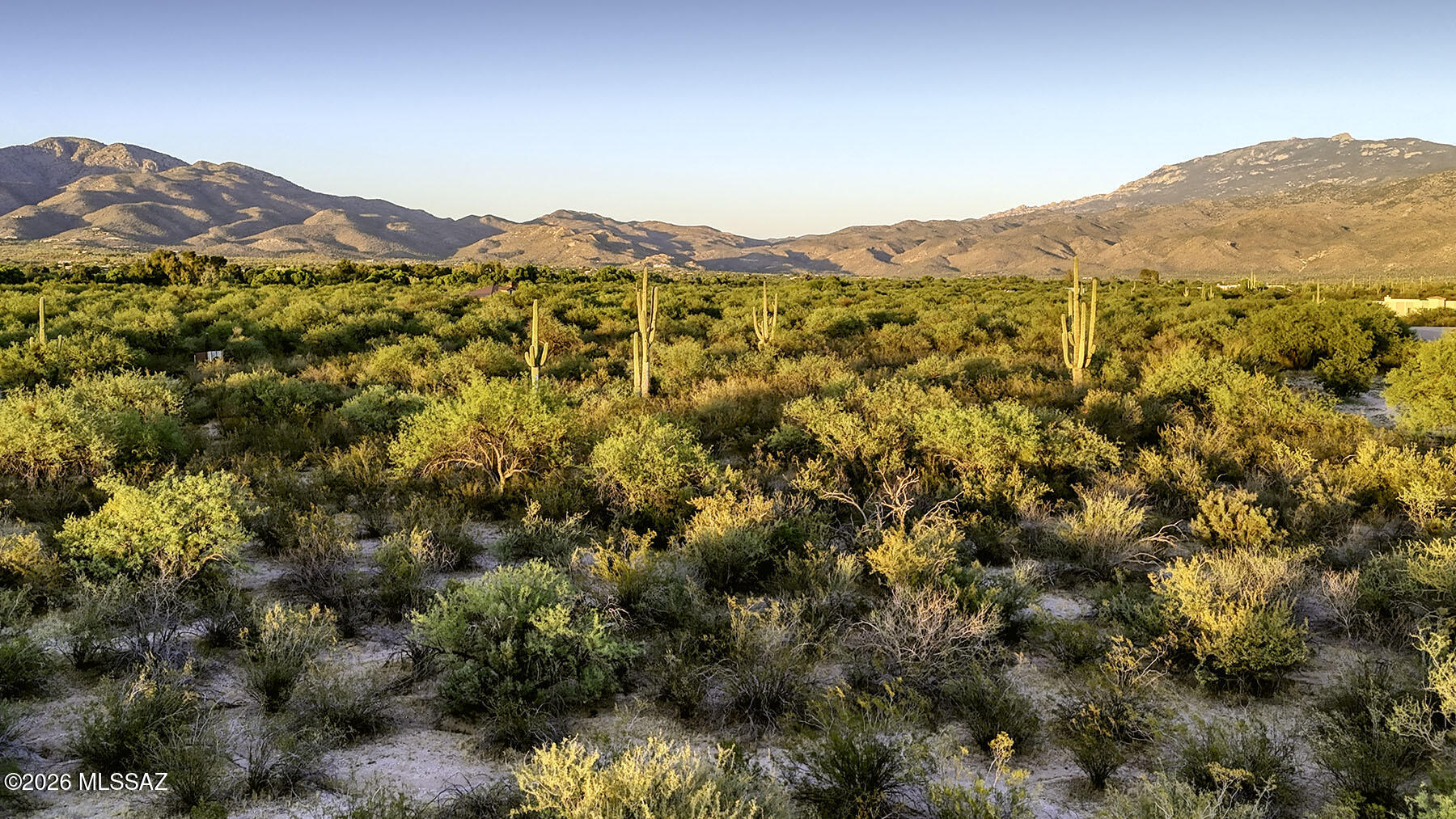 1242 N Freeman Road 5 Acre
