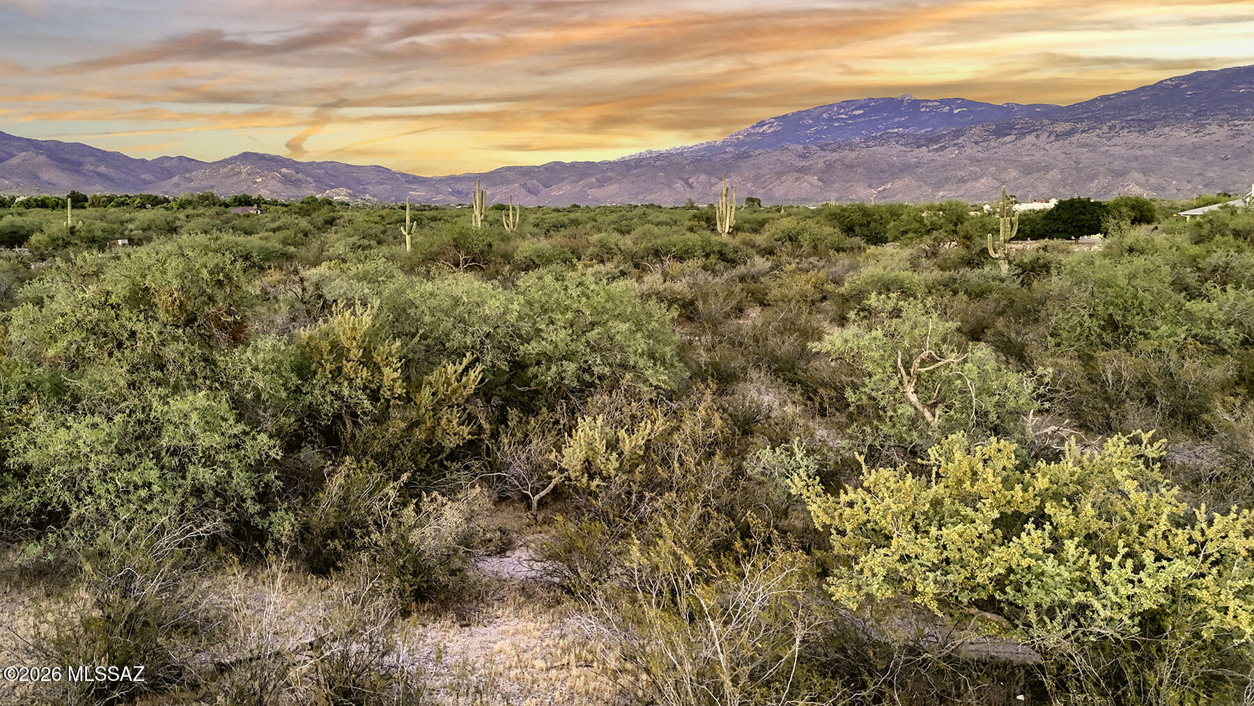 1242 N Freeman Road 5 Acre