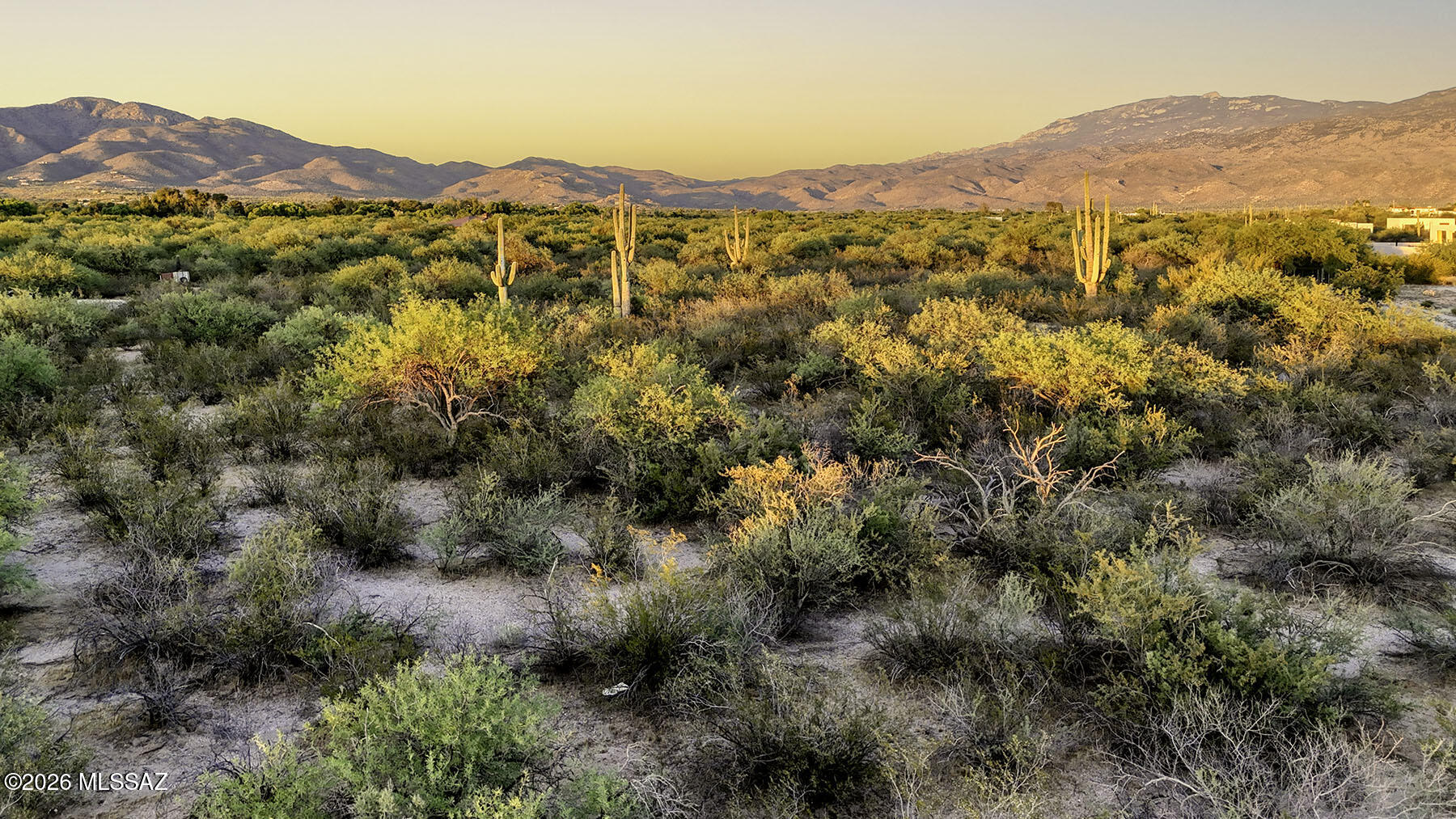 1242 N Freeman Road 5 Acre