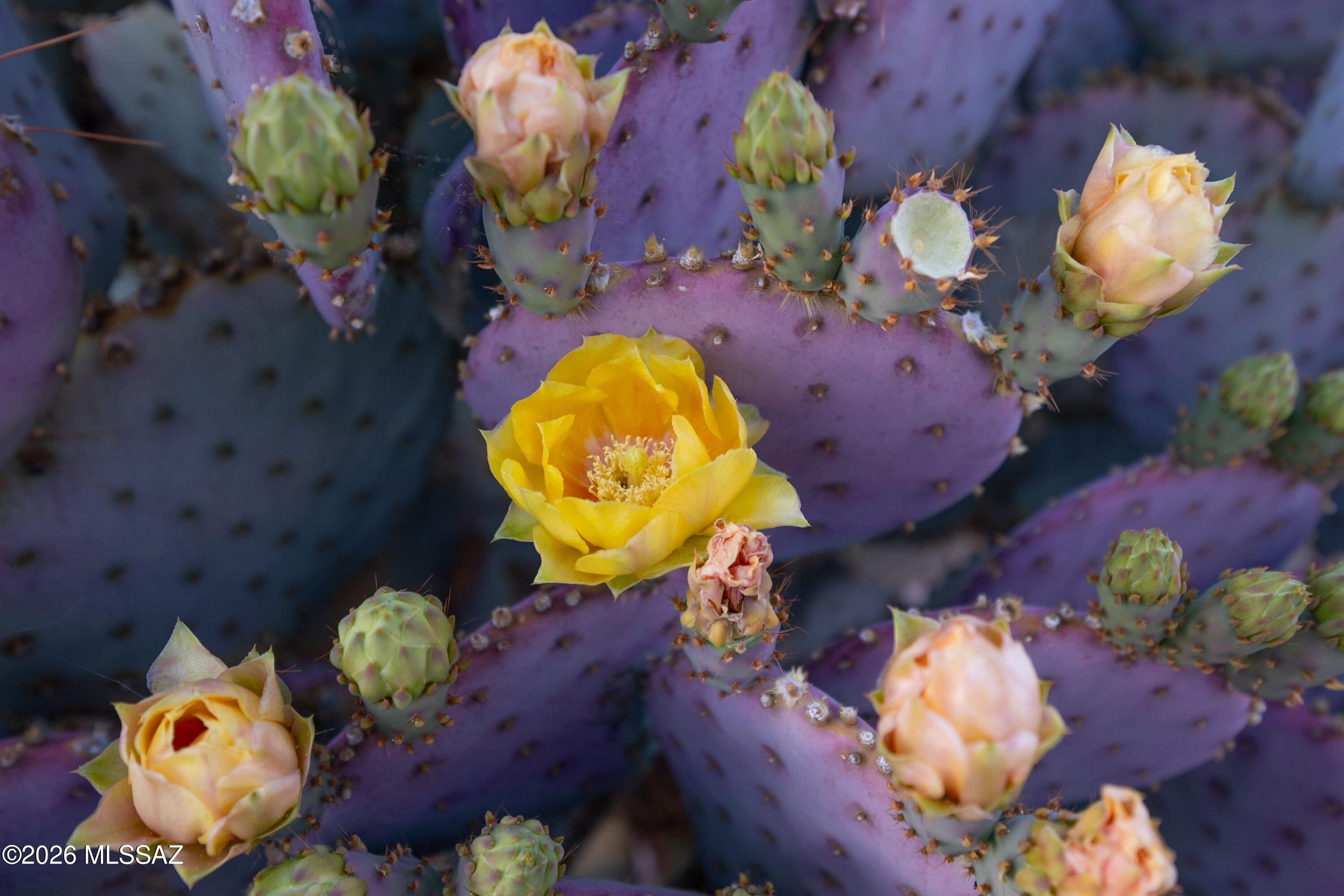 12252 N Wind Runner Parkway