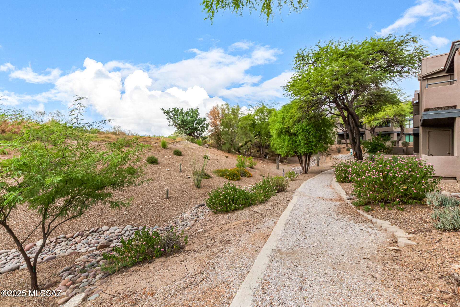 Greens at Ventana Canyon - Residential