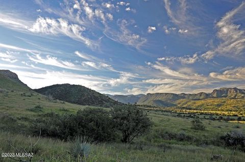 TBD 24 AC S Pinery Canyon Road d Willcox AZ 85643