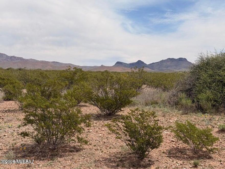 Escape to wide open space with this 0.29-acre rural parcel just outside of Douglas. Located in a very remote area, this property
is ideal for those looking to go off-grid and enjoy peace, privacy, and big desert views. No utilities are currently in place, making it a great
opportunity for a self-sufficient setup--perfect for water haul, solar, and alternative building options. Whether you're looking for a weekend
getaway spot, a future homesite, or a low-cost land investment, this property offers flexibility and freedom. Enjoy quiet surroundings, star-filled
skies, and the simplicity of rural Arizona living. Seller has additional lot nearby for sale too!