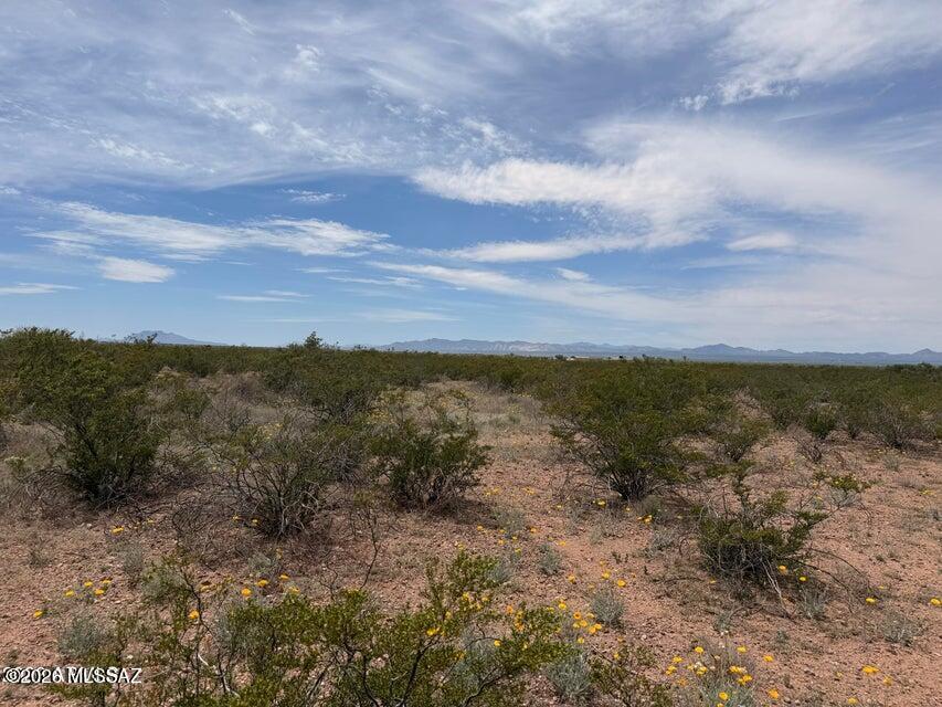 Out Of Pima County - Land