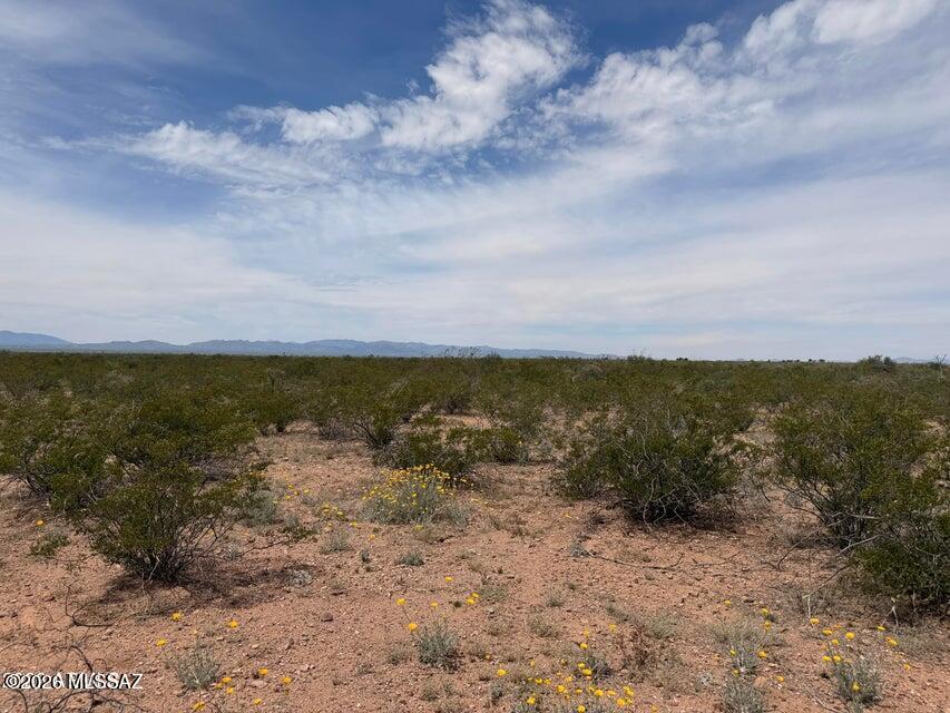 Out Of Pima County - Land