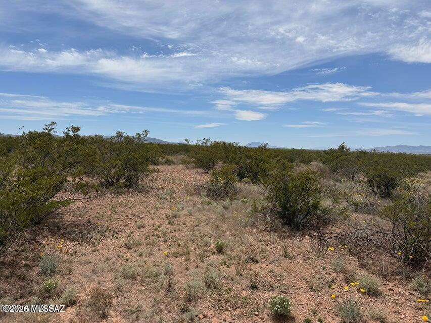 Out Of Pima County - Land