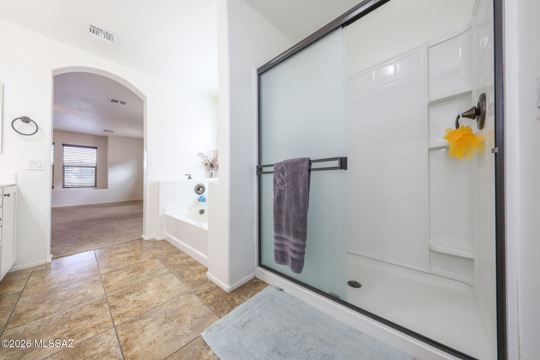 Rancho Vistoso NGHB 10 & 11 (1-360) - Residential