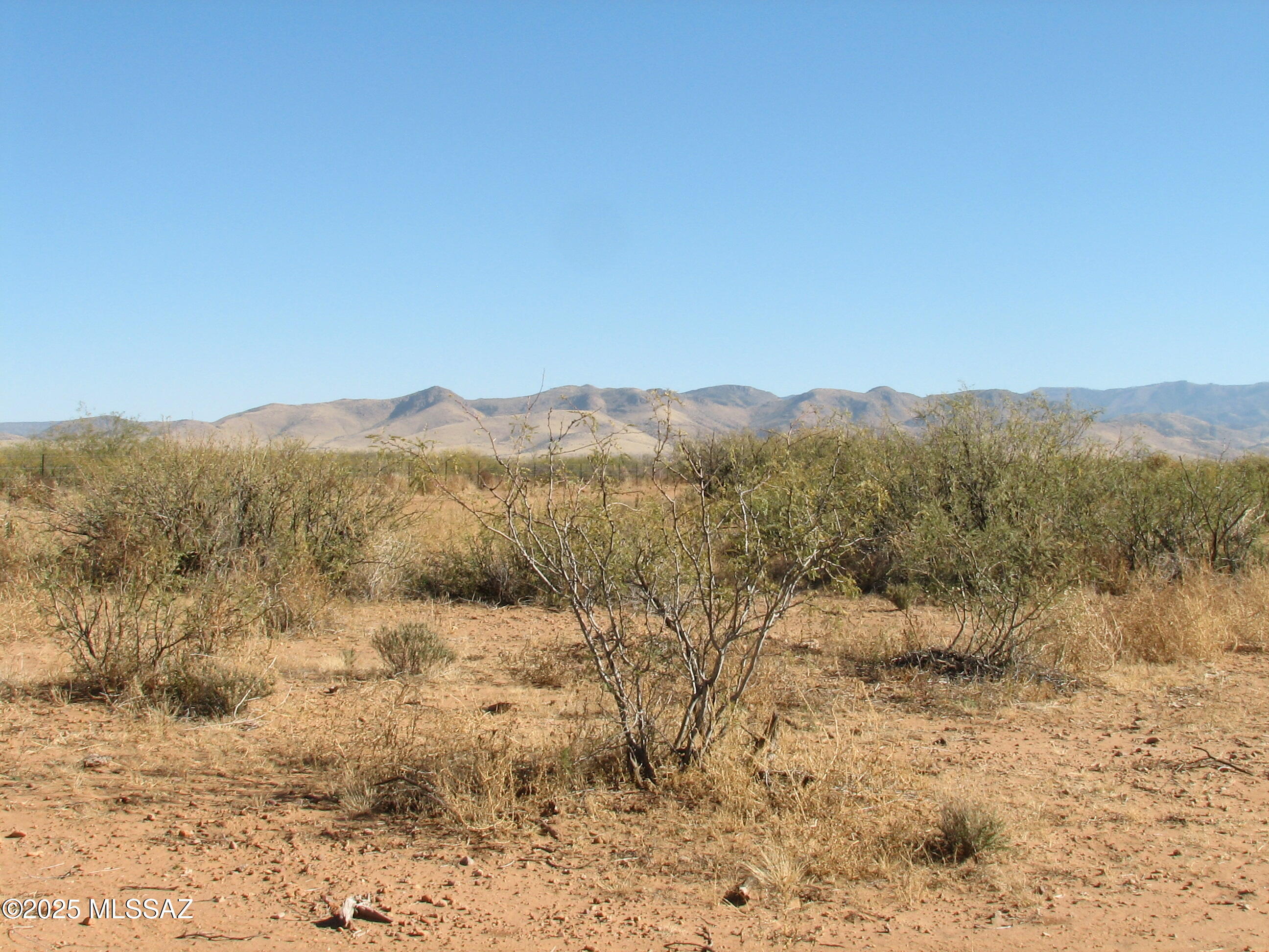 Turkey Creek Ranch - Land
