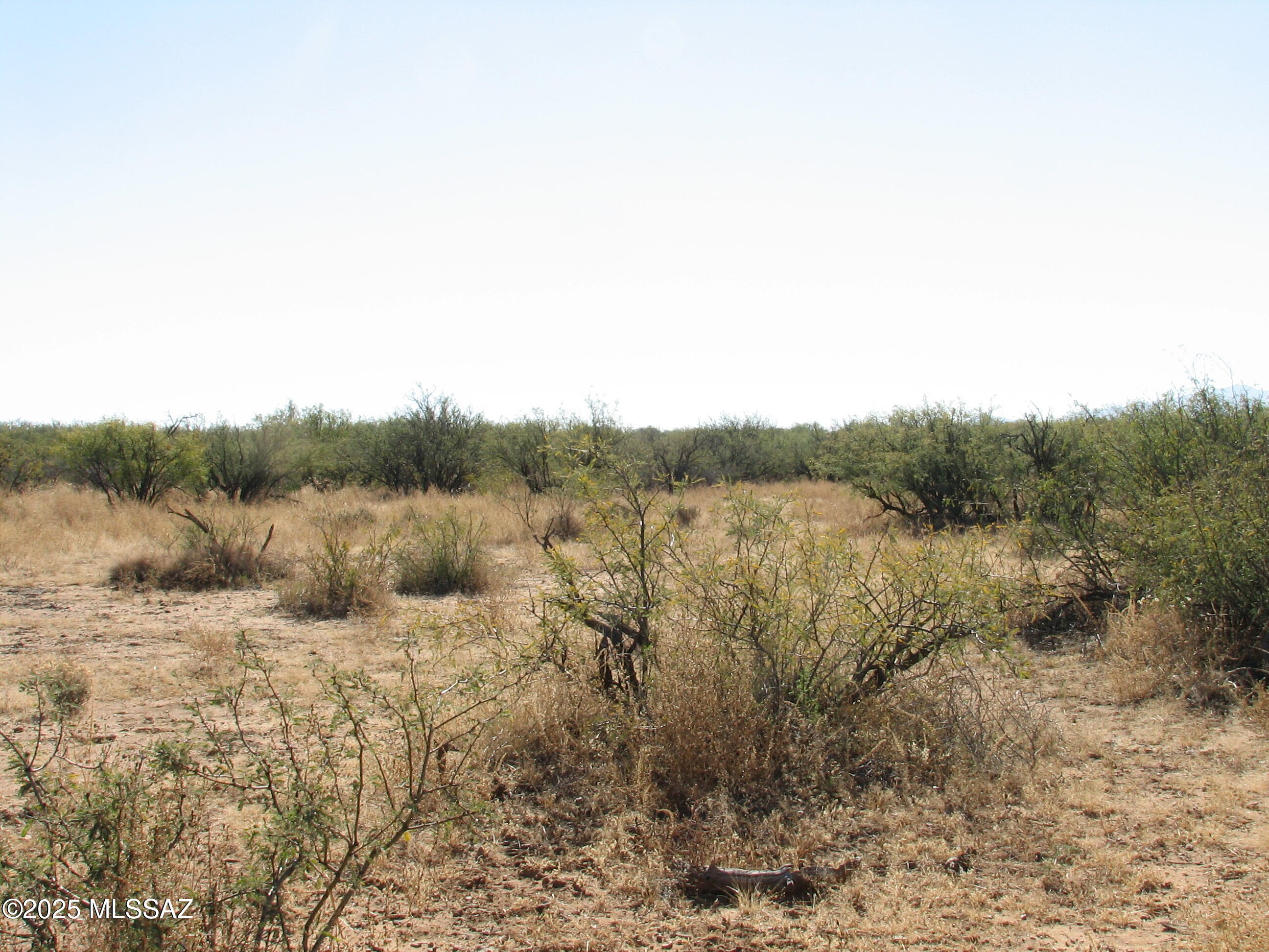 Turkey Creek Ranch - Land