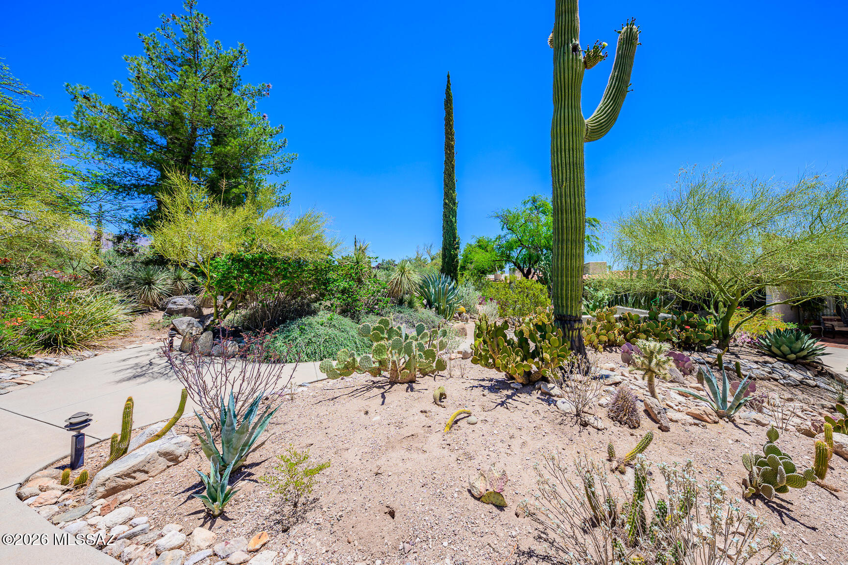 Catalina Foothills Condominium (1-24) - Residential
