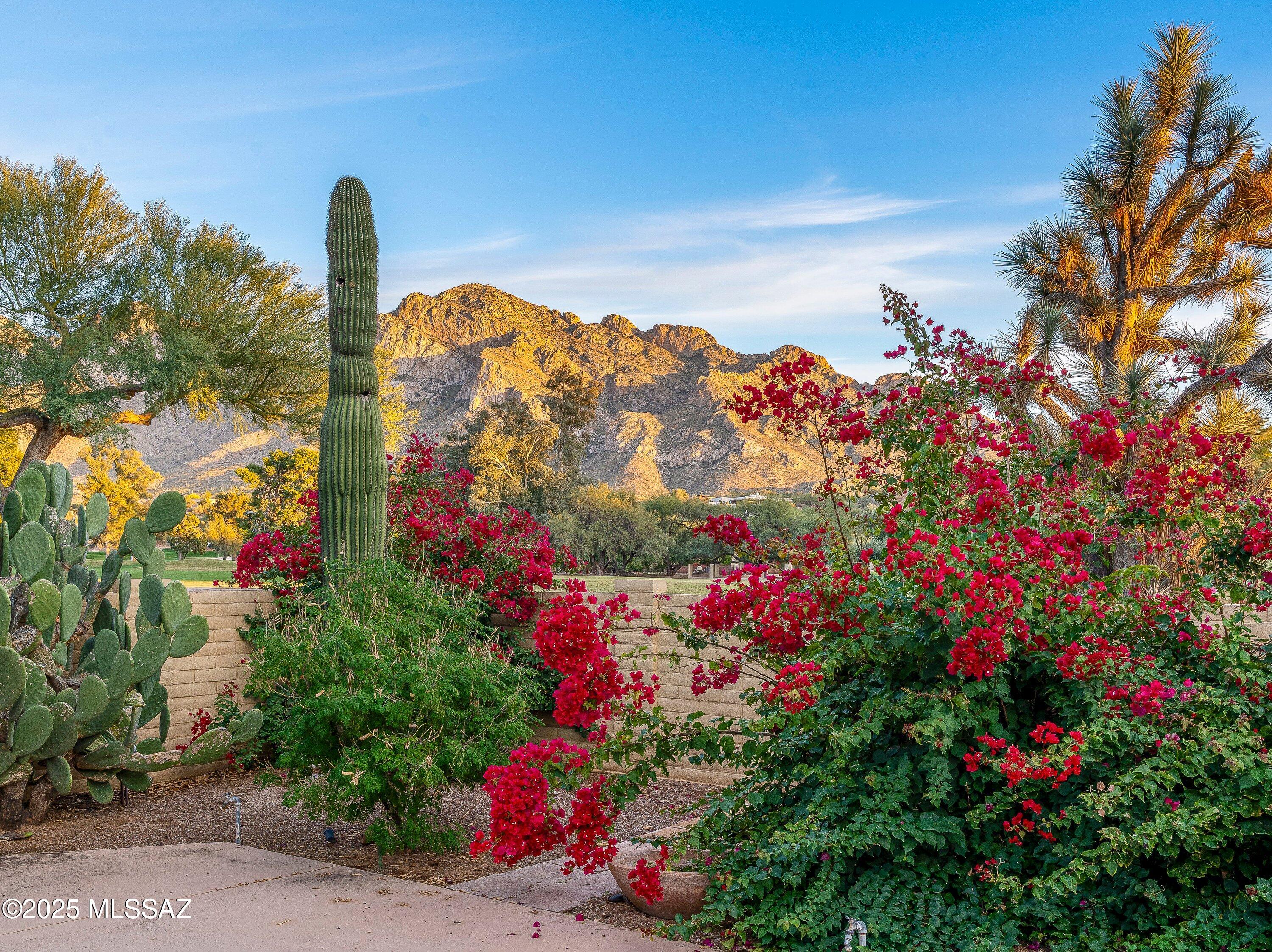 565 W Golf View Drive