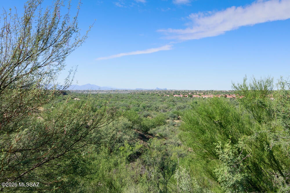 13927 N Big Wash Overlook Place