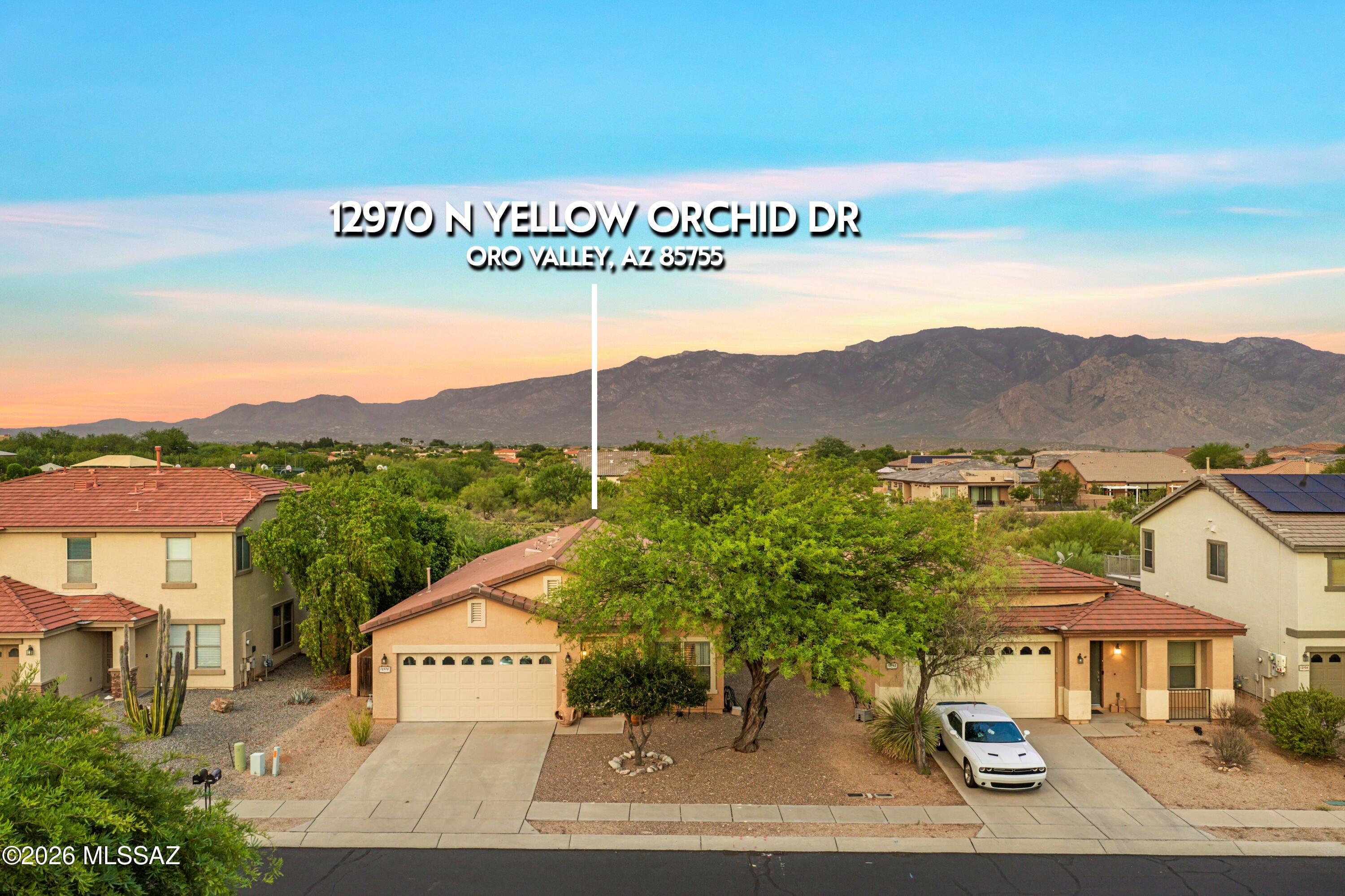 12970 N Yellow Orchid Drive