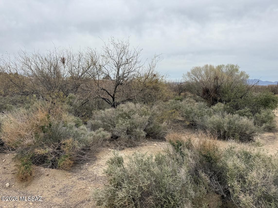Out Of Pima County - Land