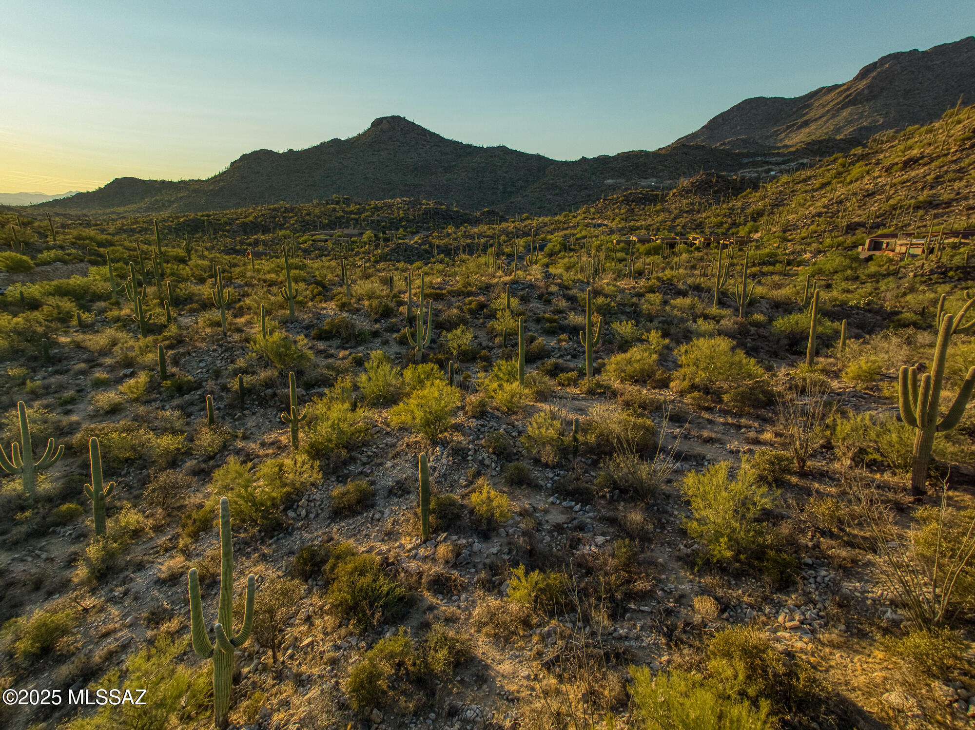 Canyon Pass II At Dove Mountain (49-110) - Residential