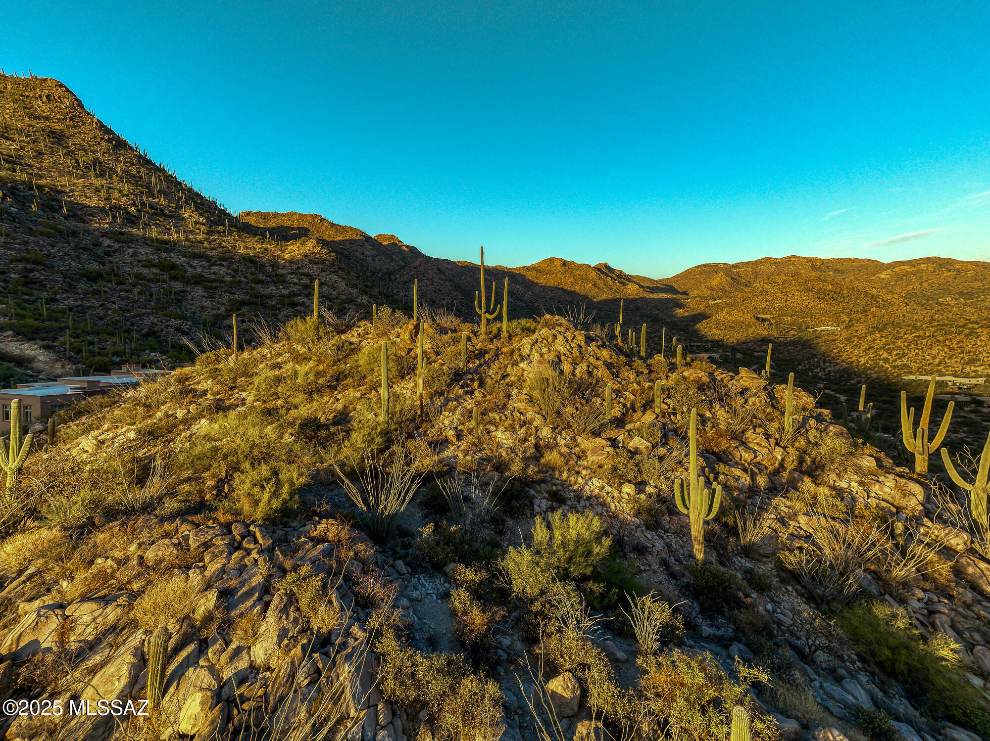 Canyon Pass II At Dove Mountain (49-110) - Residential