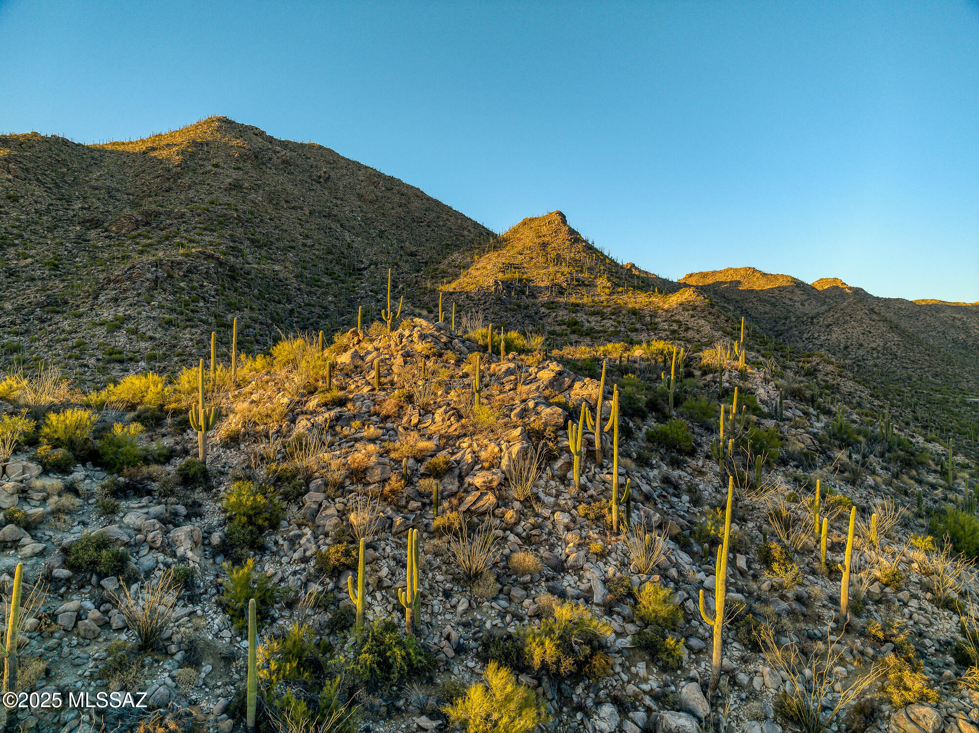 Canyon Pass II At Dove Mountain (49-110) - Residential