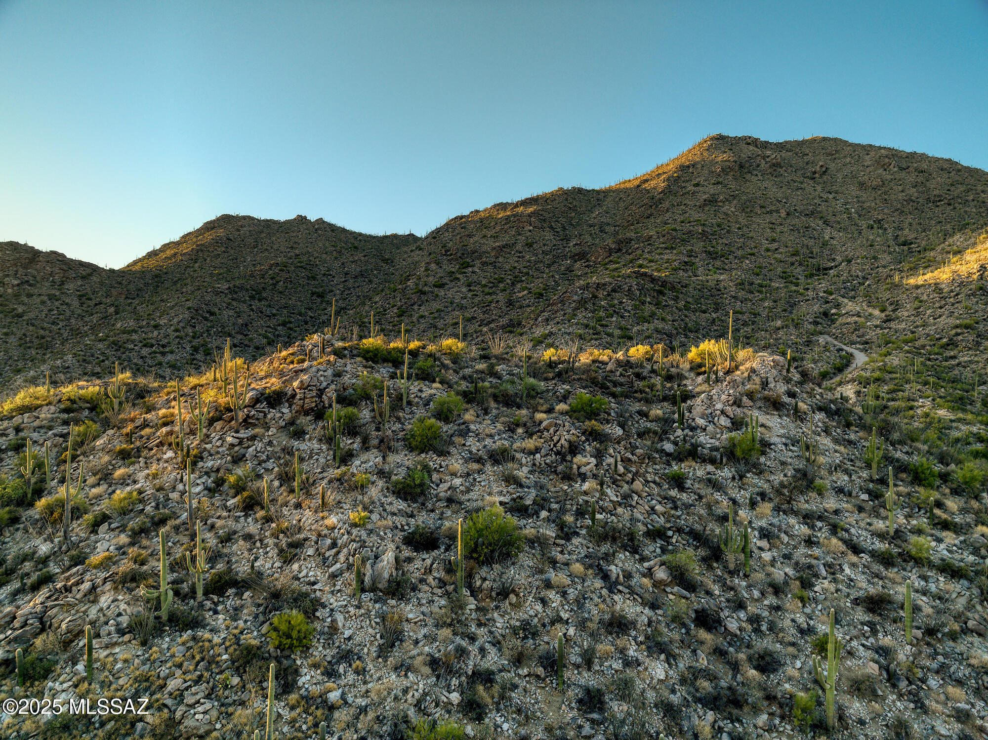 Canyon Pass II At Dove Mountain (49-110) - Residential
