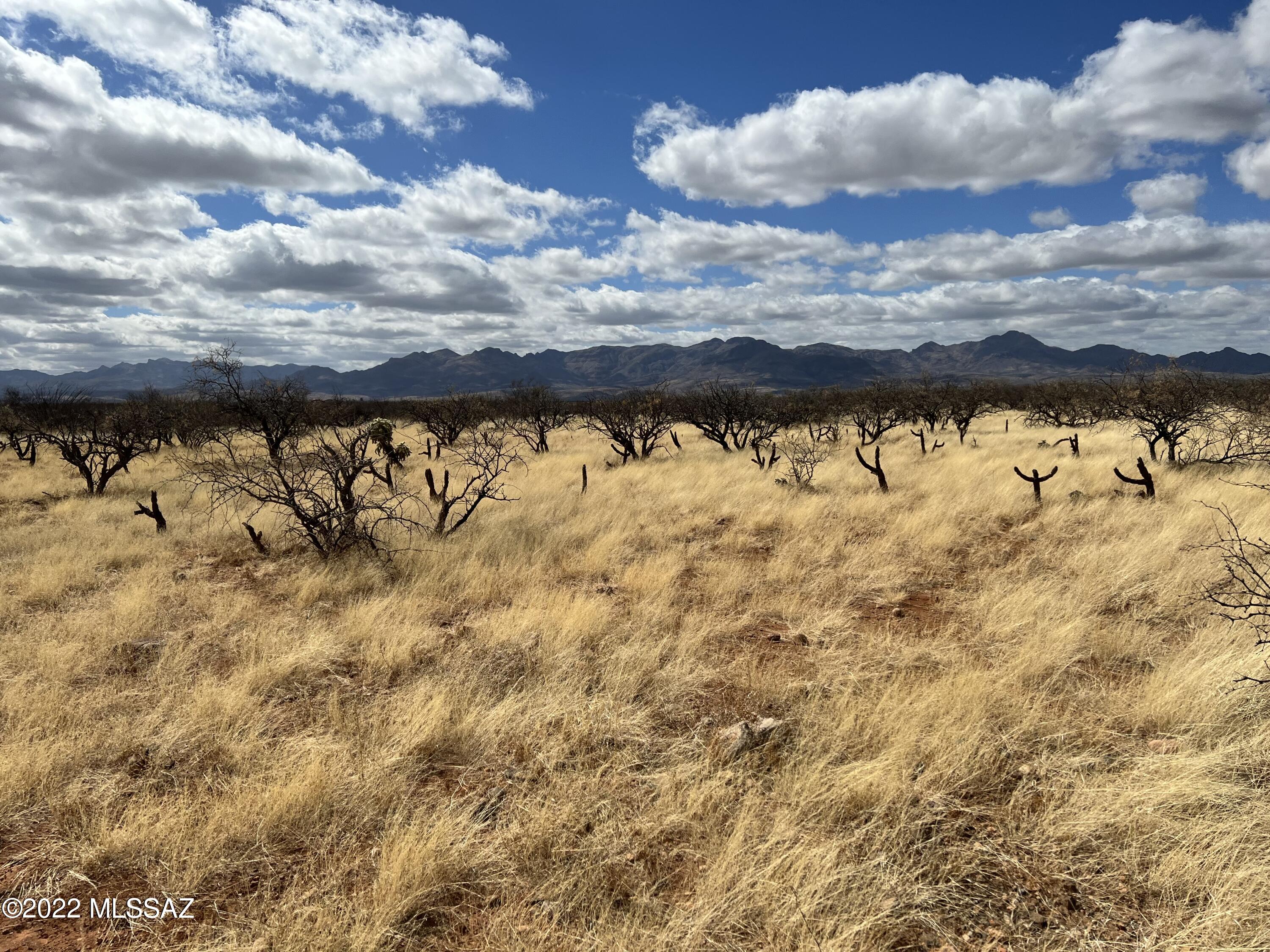 Tubac Foothills Ranch - Land