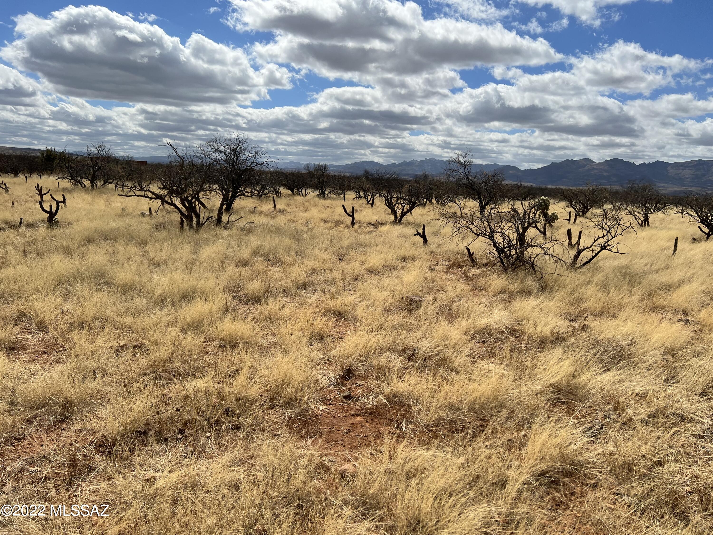 Tubac Foothills Ranch - Land