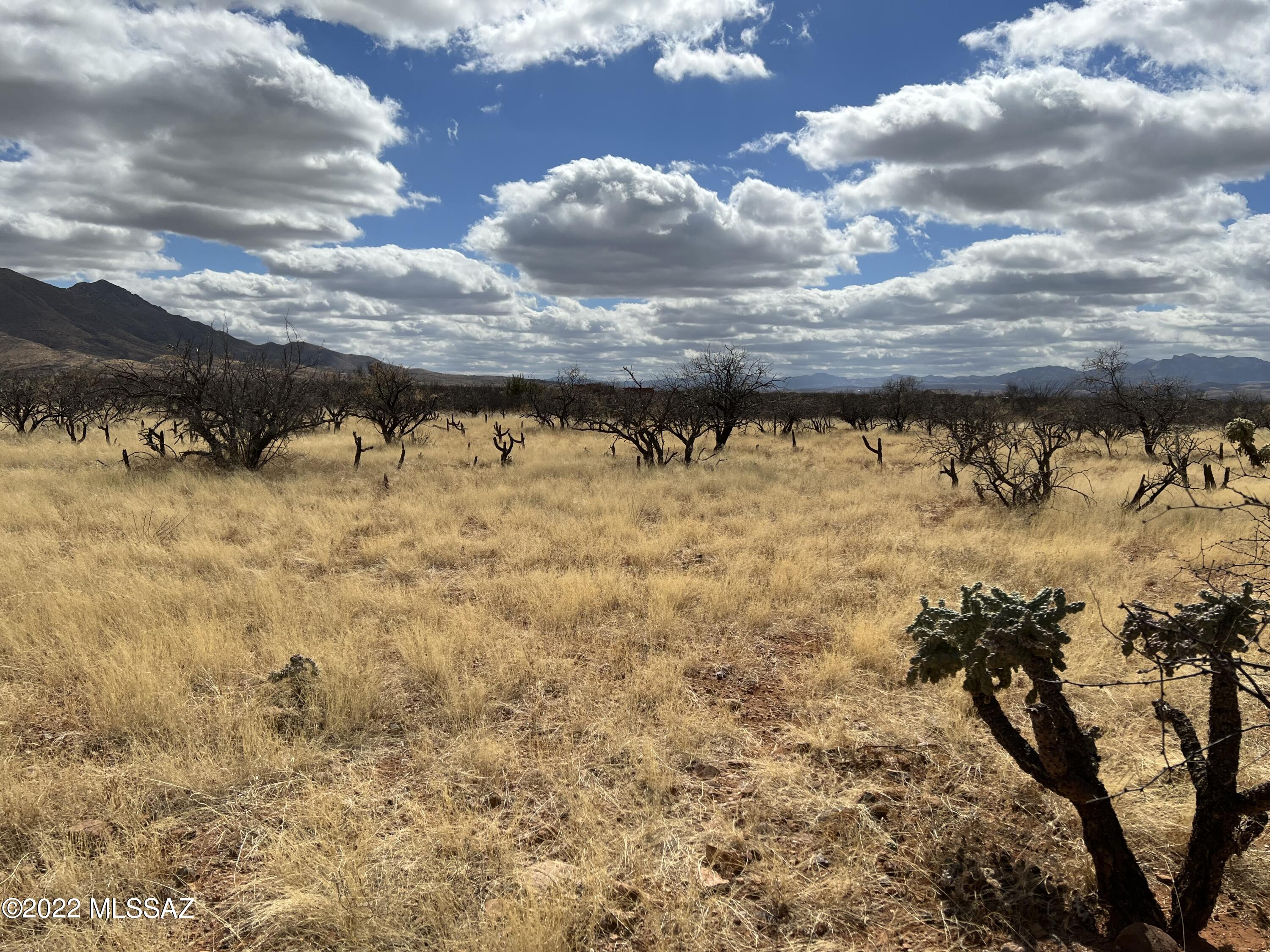 Tubac Foothills Ranch - Land