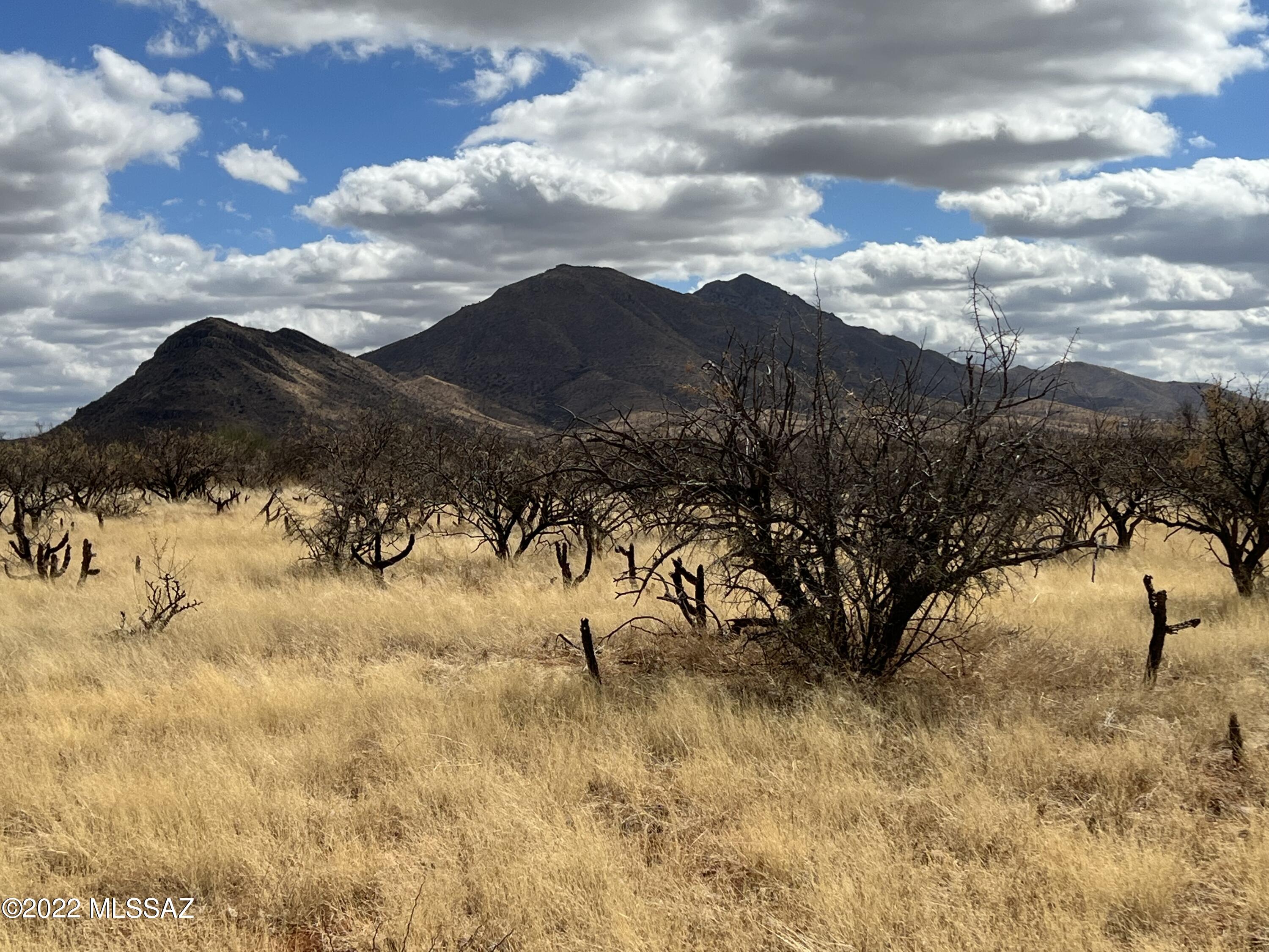 Tubac Foothills Ranch - Land