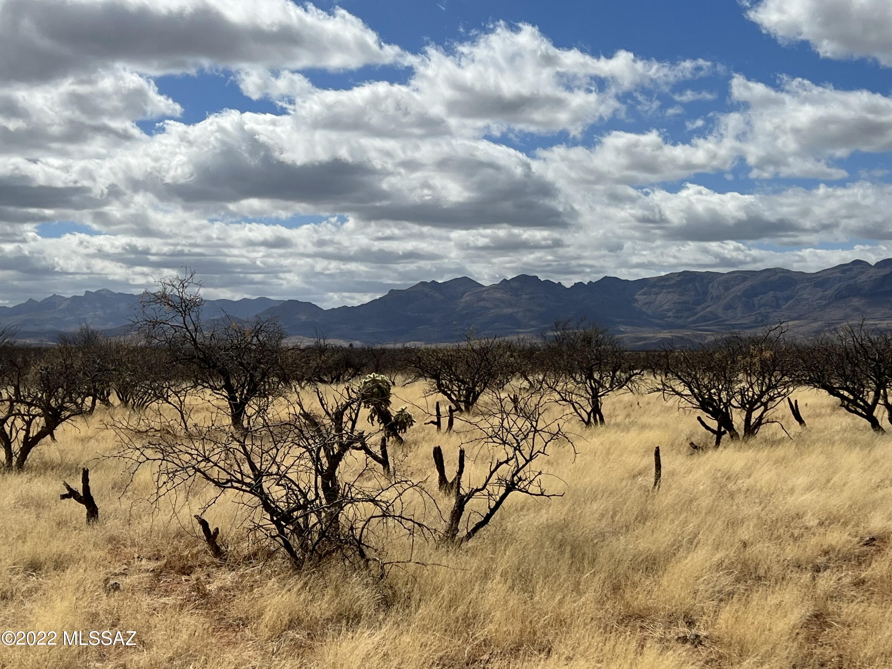 Tubac Foothills Ranch - Land
