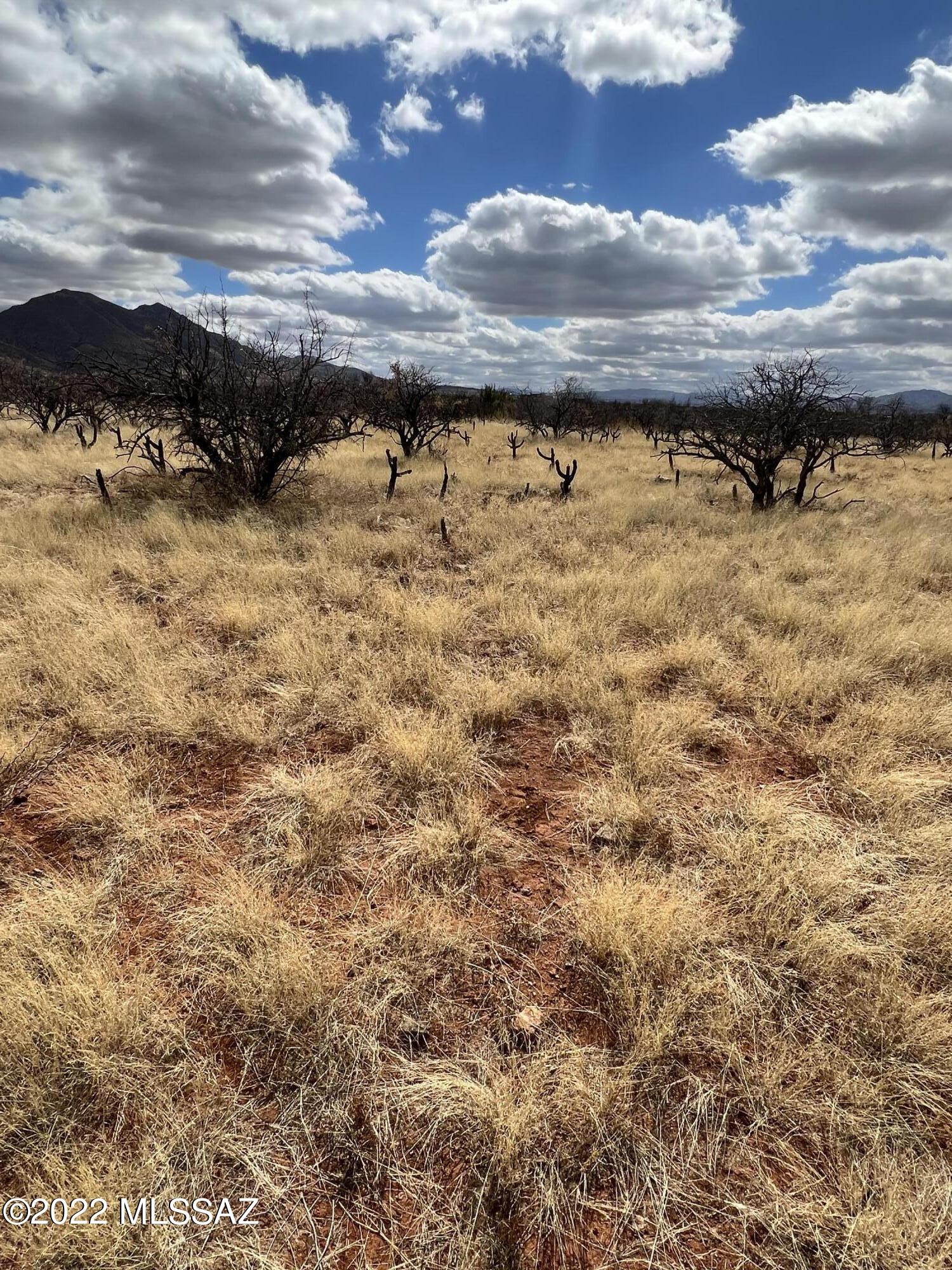 Tubac Foothills Ranch - Land
