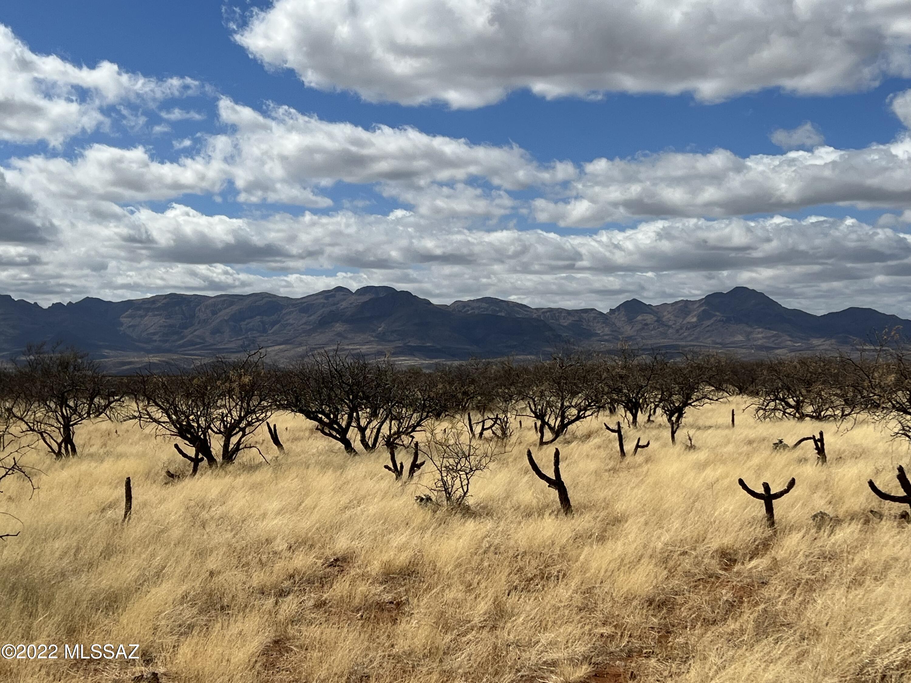 Tubac Foothills Ranch - Land