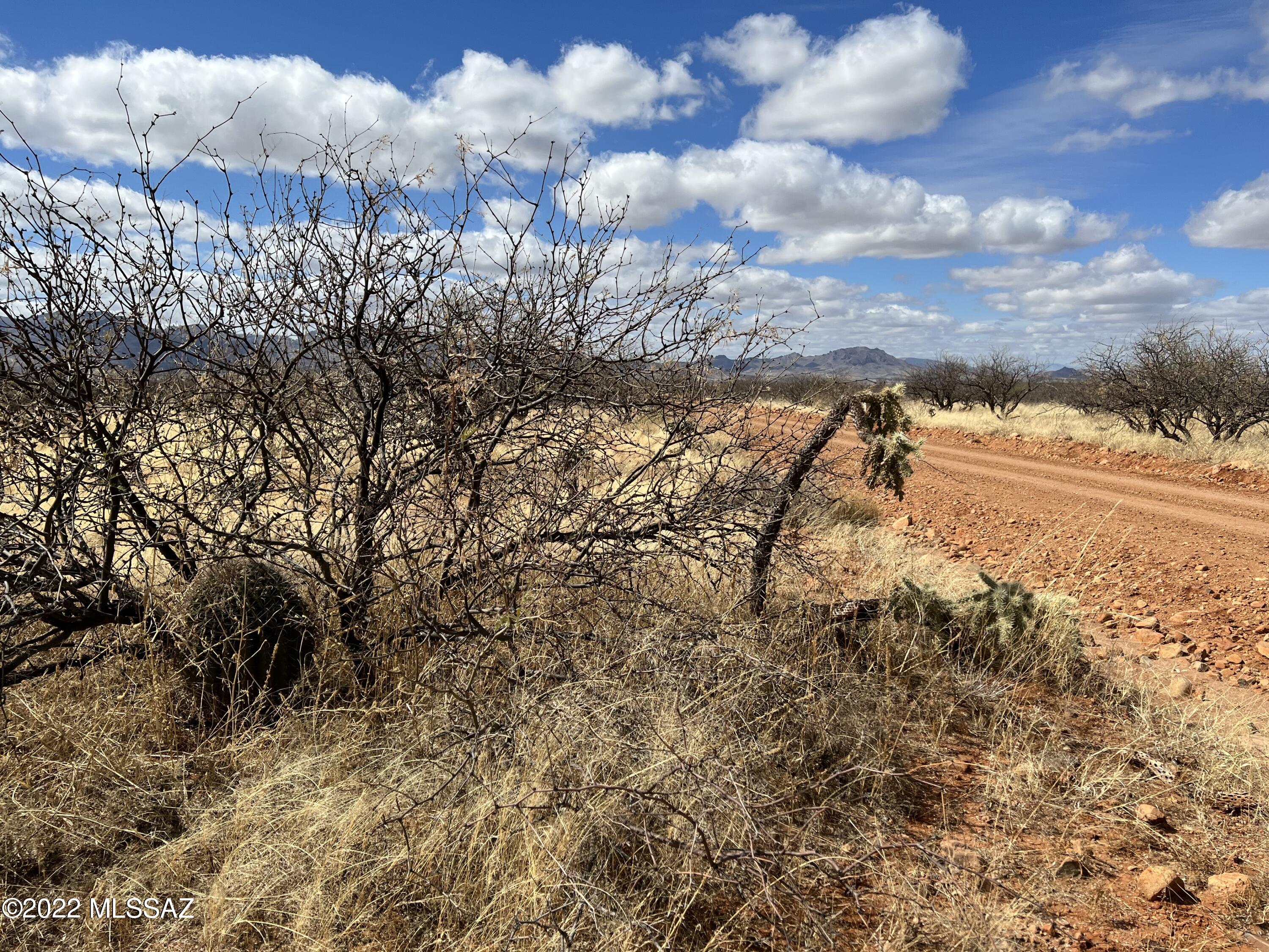 Tubac Foothills Ranch - Land