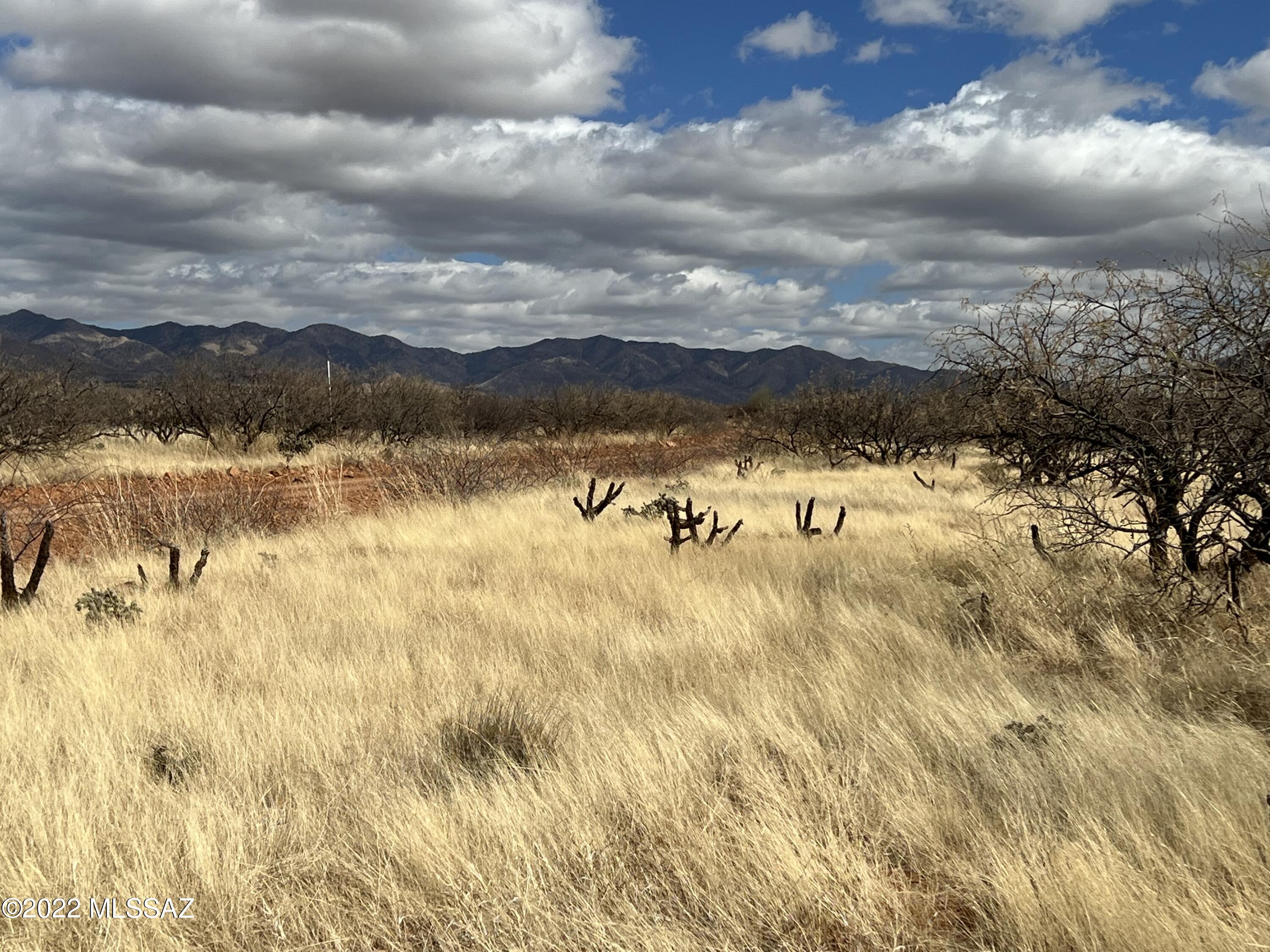 Tubac Foothills Ranch - Land