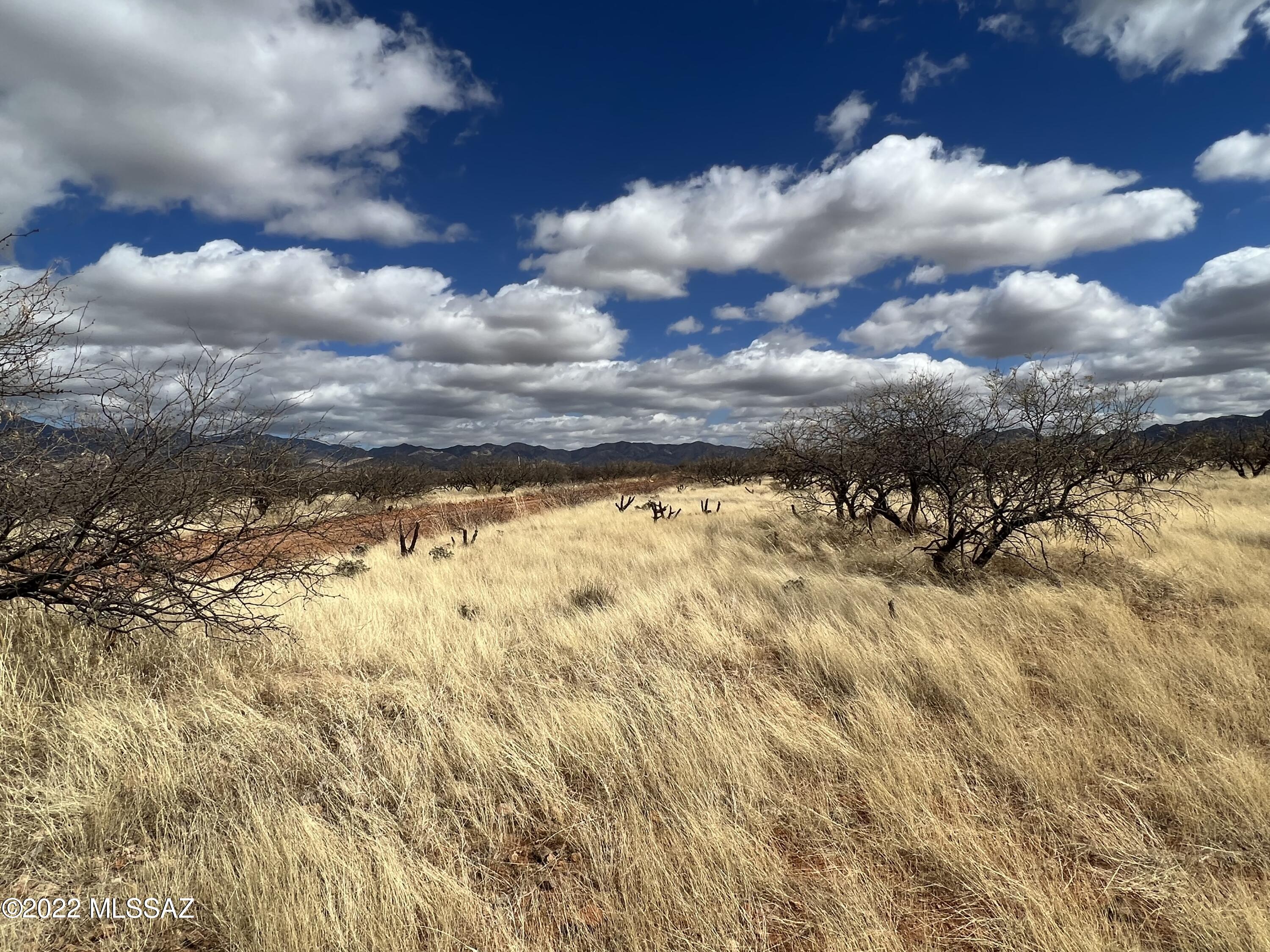 Tubac Foothills Ranch - Land