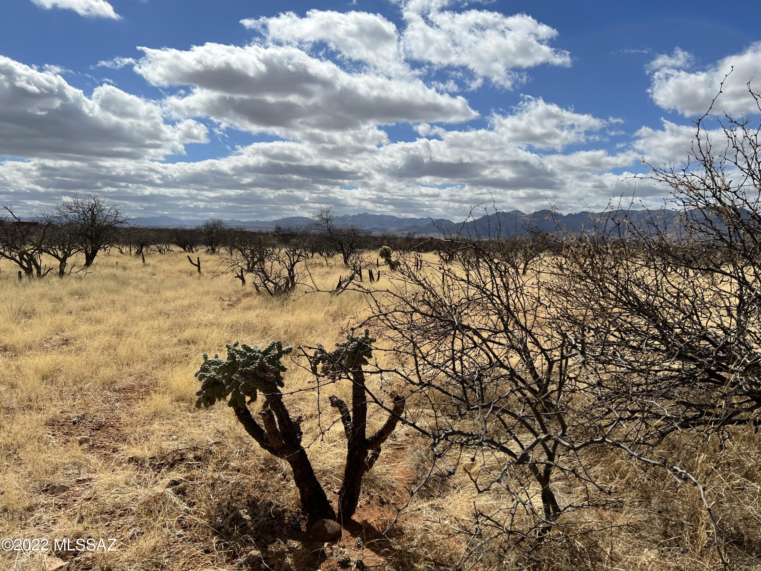 Tubac Foothills Ranch - Land