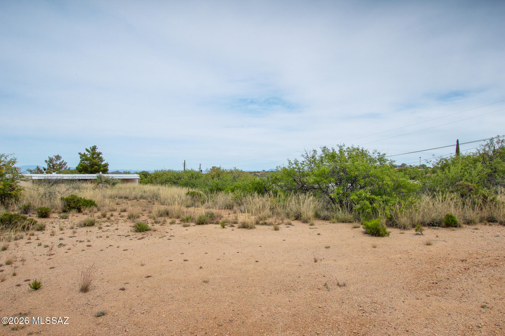 Oracle Village Estates - Land