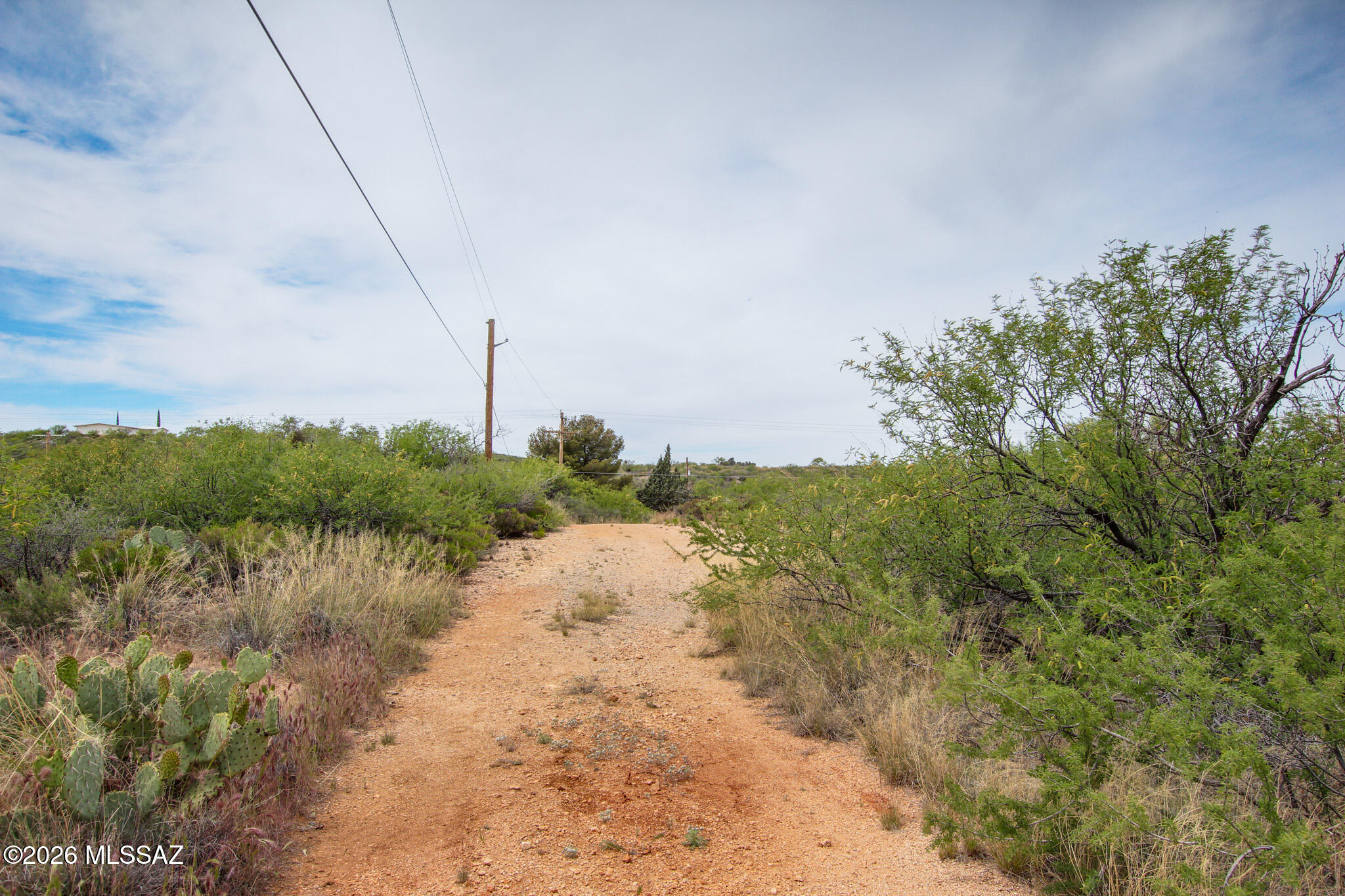 Oracle Village Estates - Land