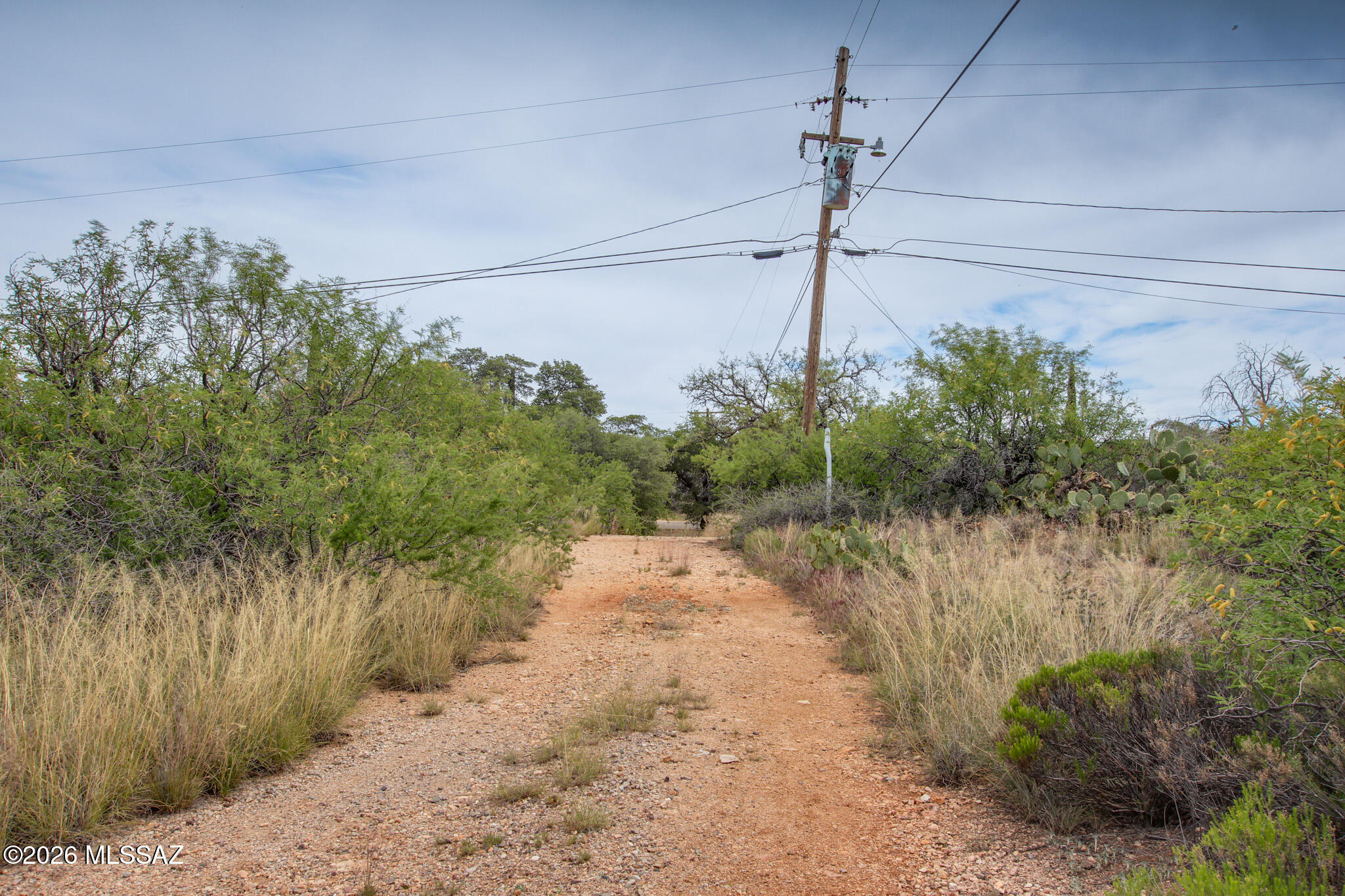 Oracle Village Estates - Land