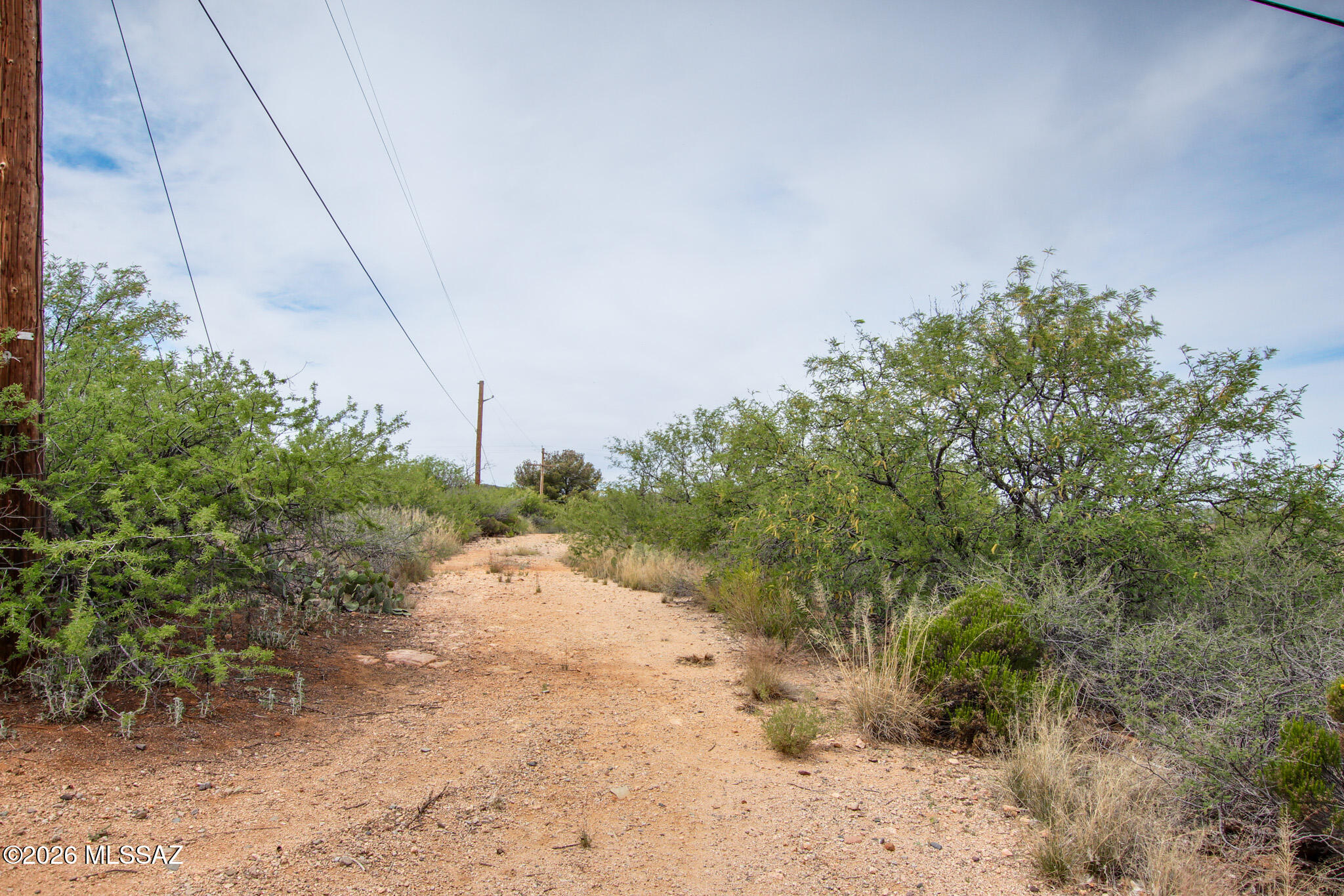 Oracle Village Estates - Land