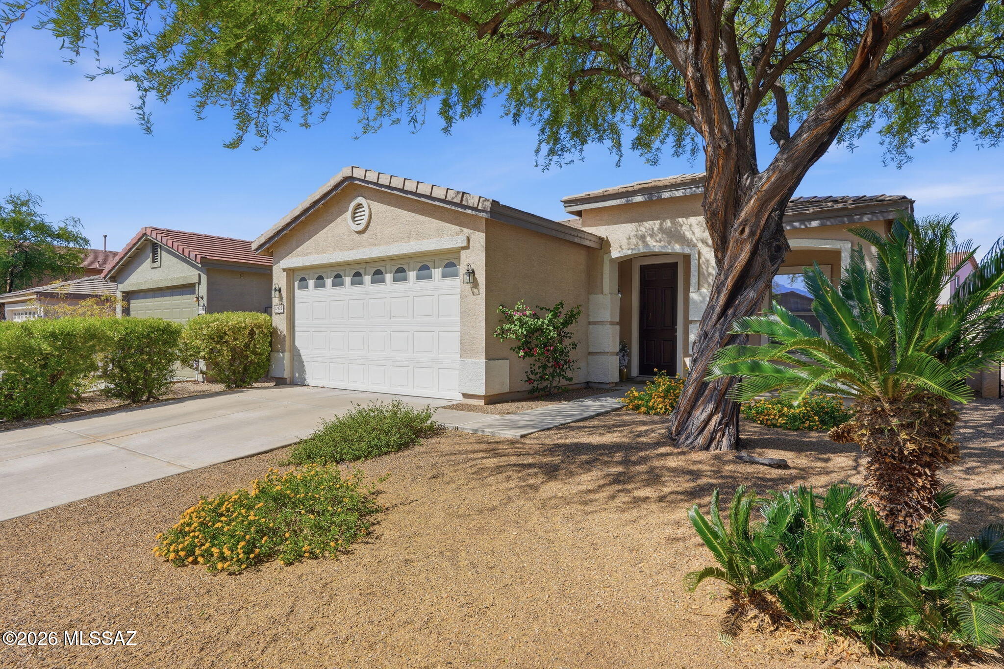 12973 N Yellow Orchid Drive