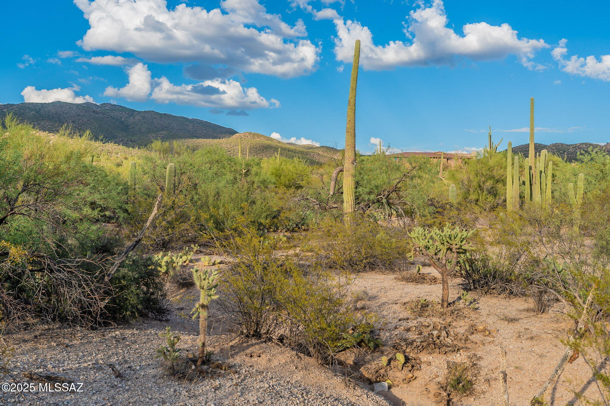 2641 N Placita Alicantina 2