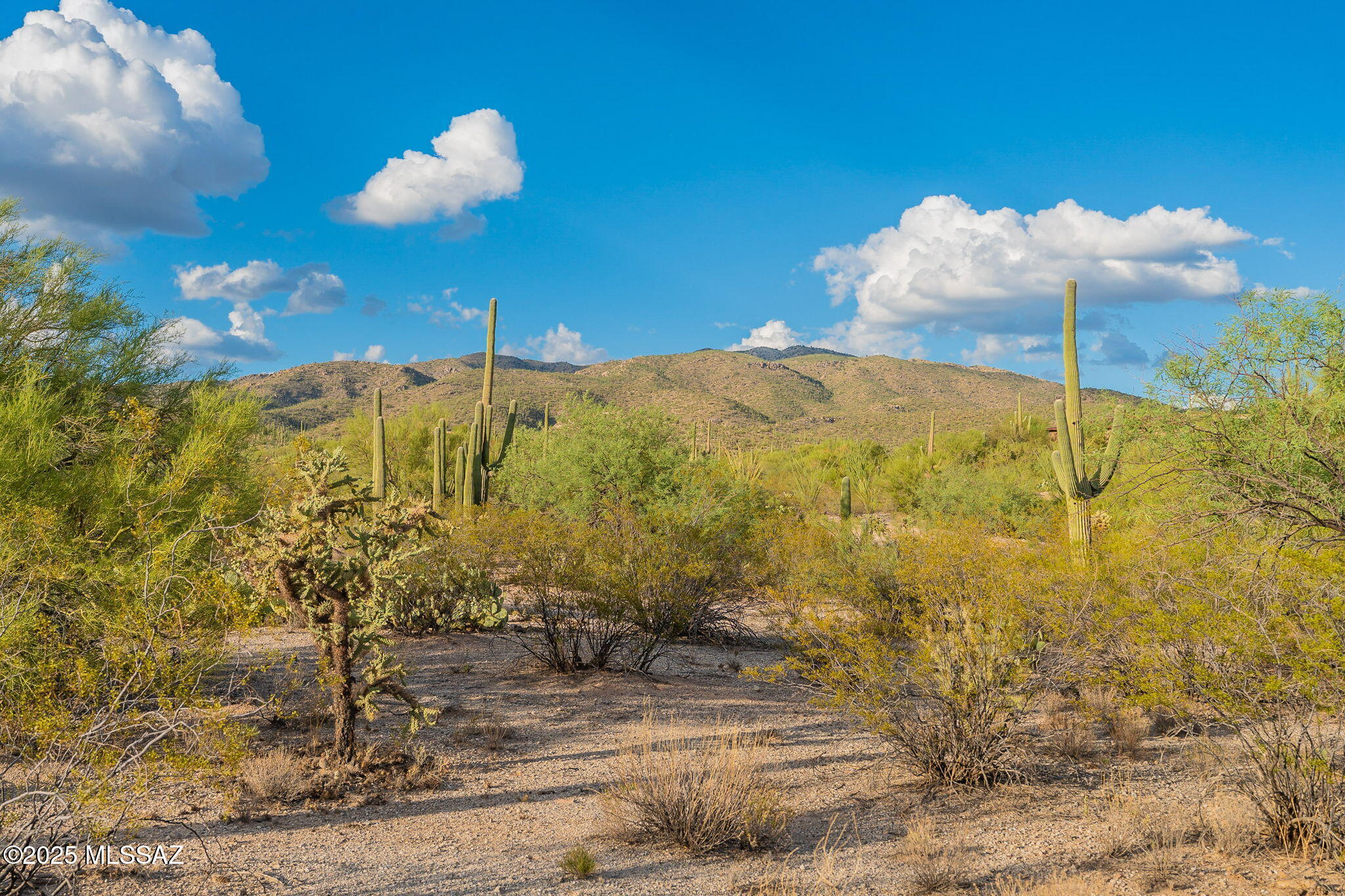 2641 N Placita Alicantina 2