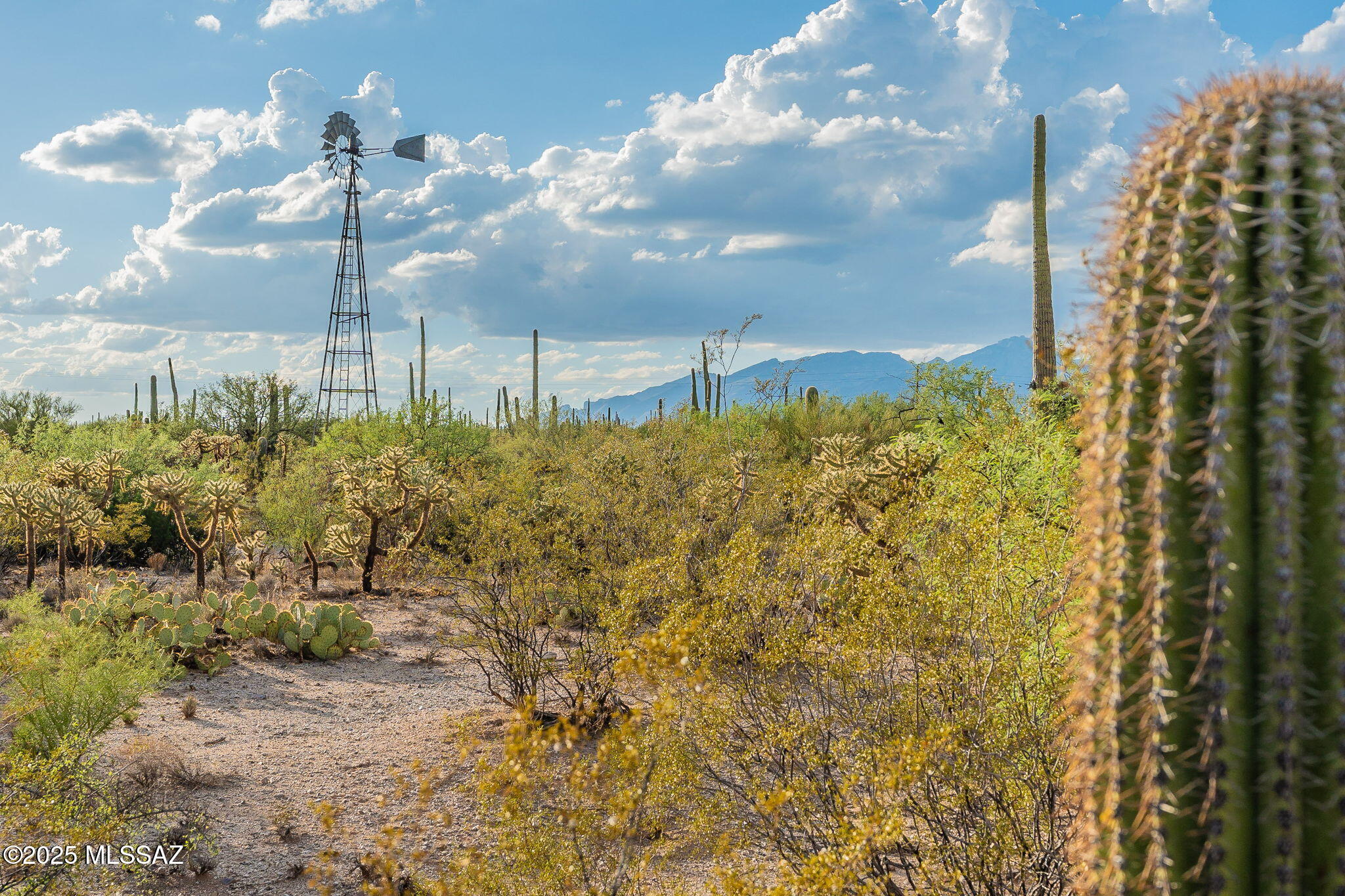 2641 N Placita Alicantina 2